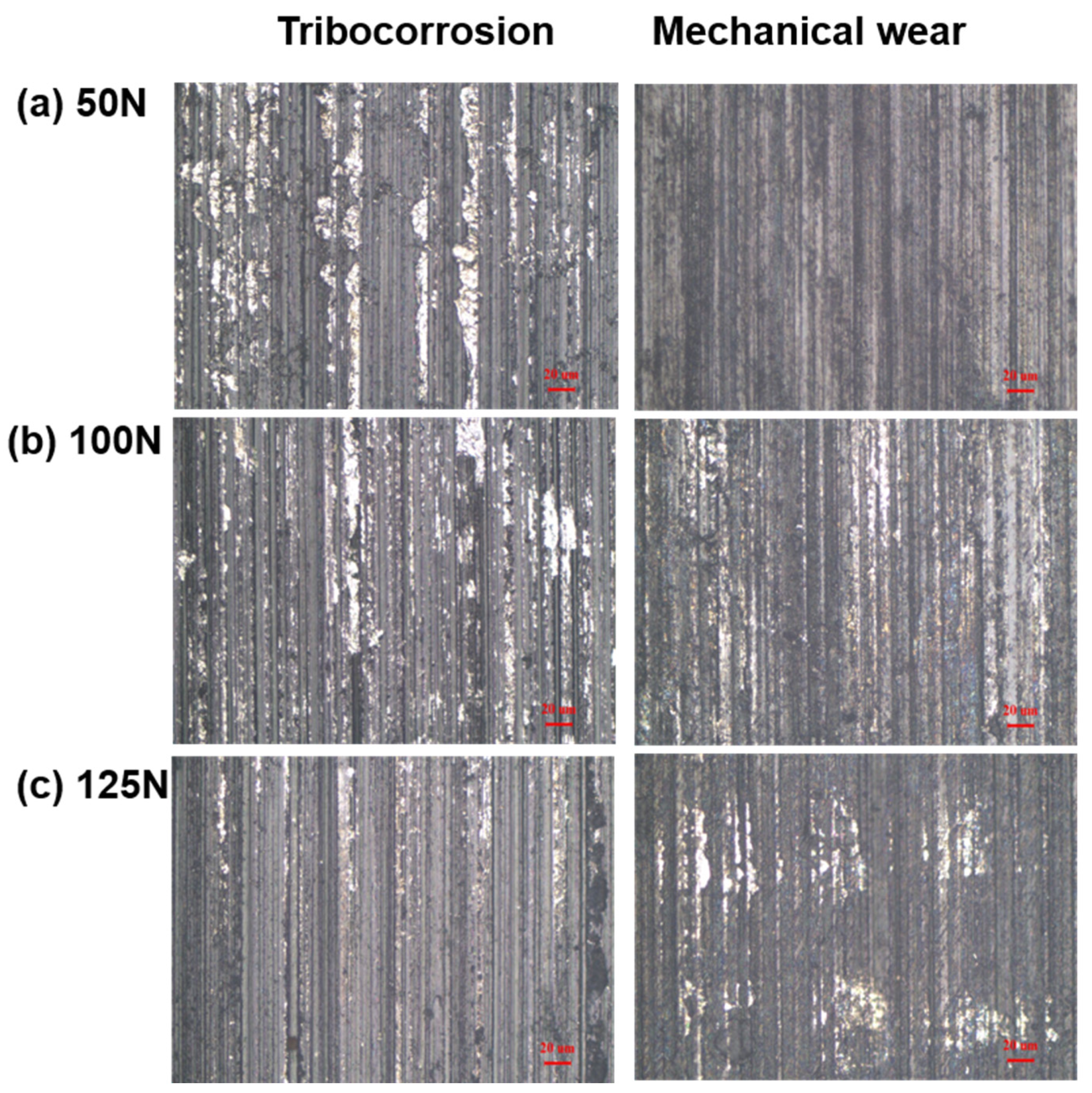 Metals 13 01287 g007 Metals 13 01287 g007