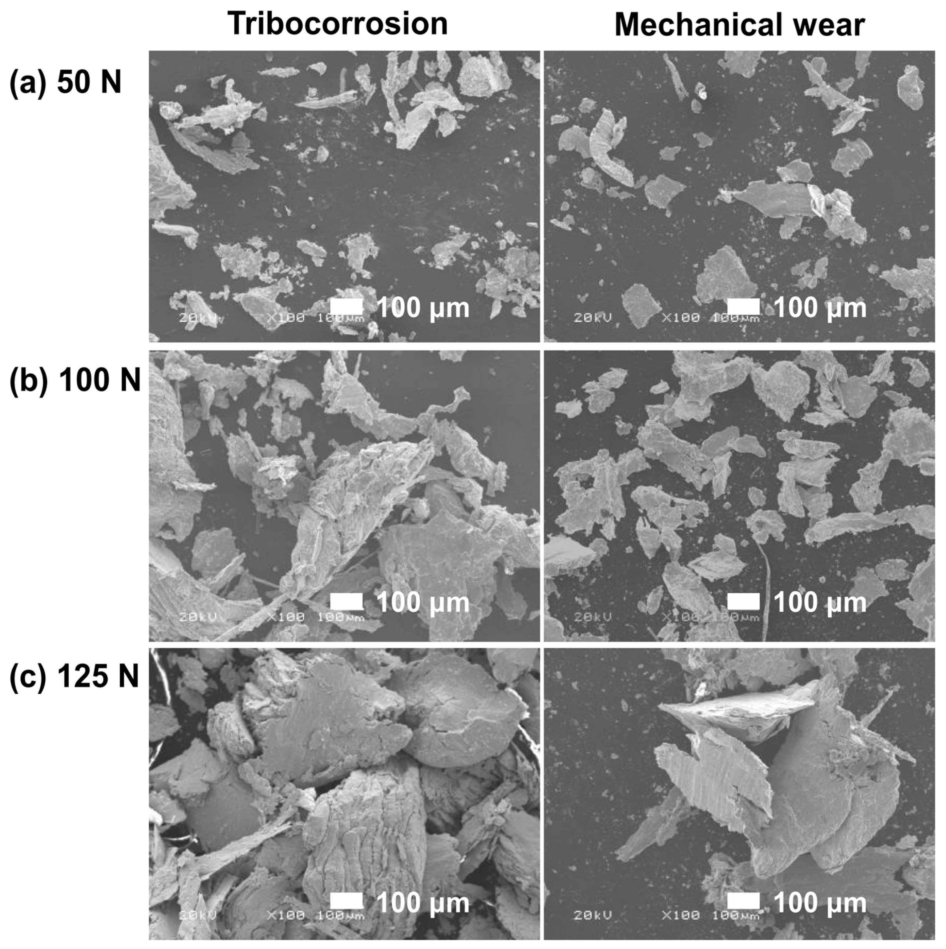 Metals 13 01287 g008 Metals 13 01287 g008