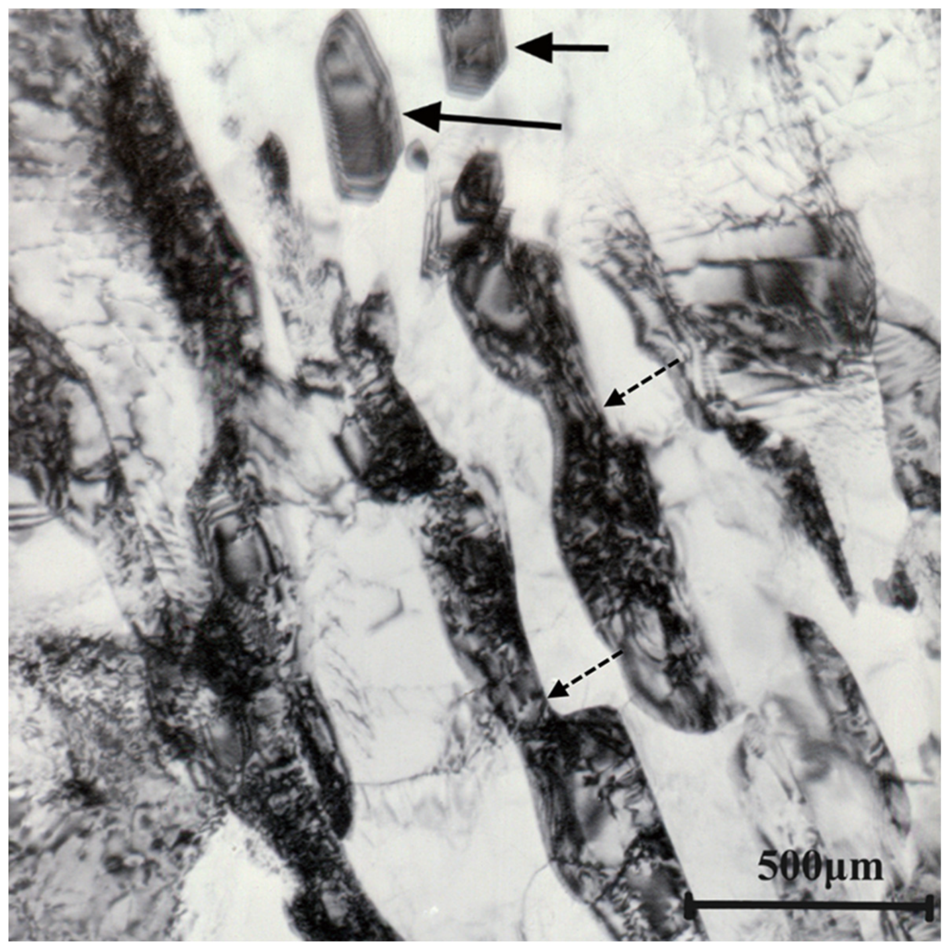 Metals 13 01302 g007