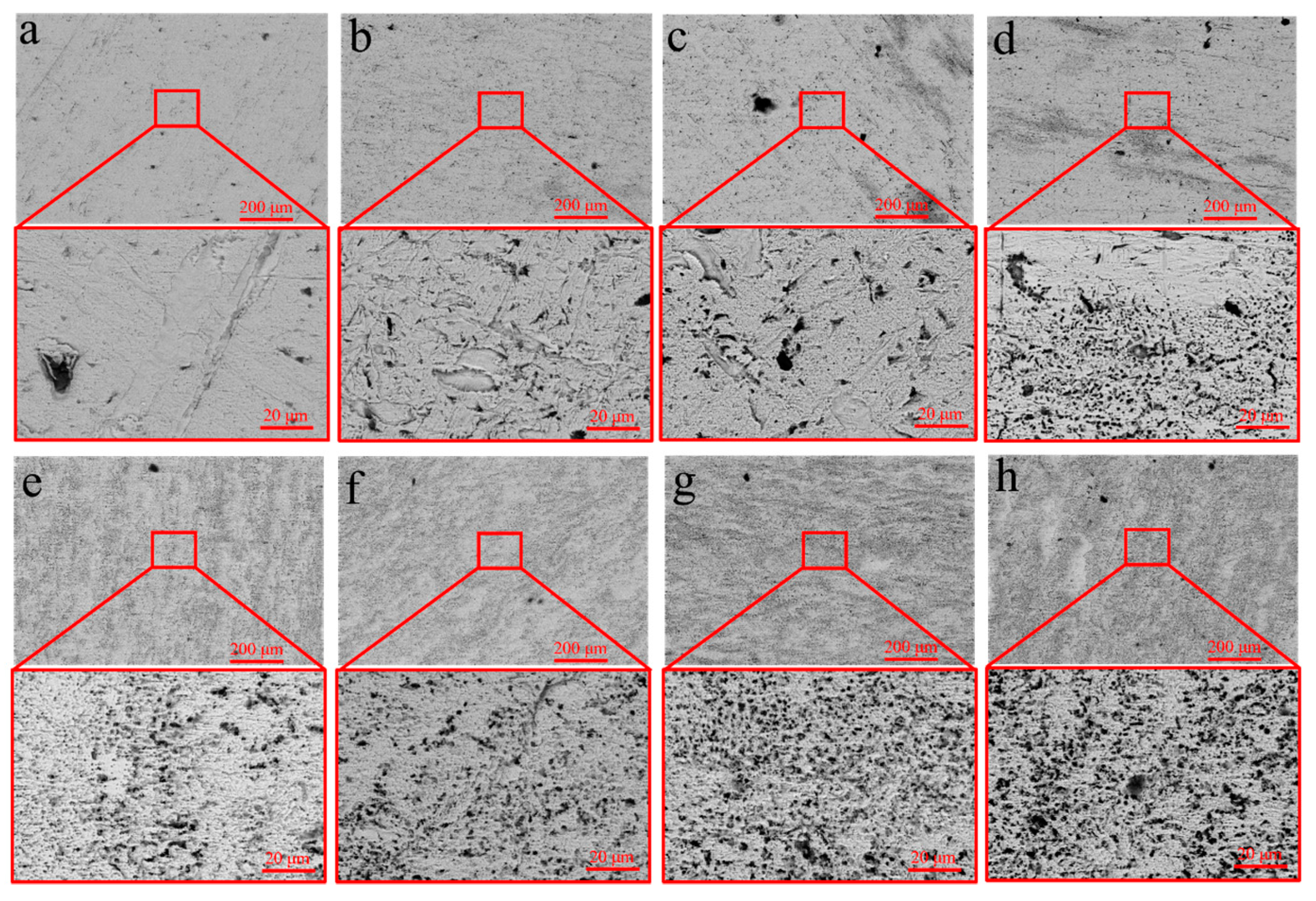 Metals 13 01304 g009