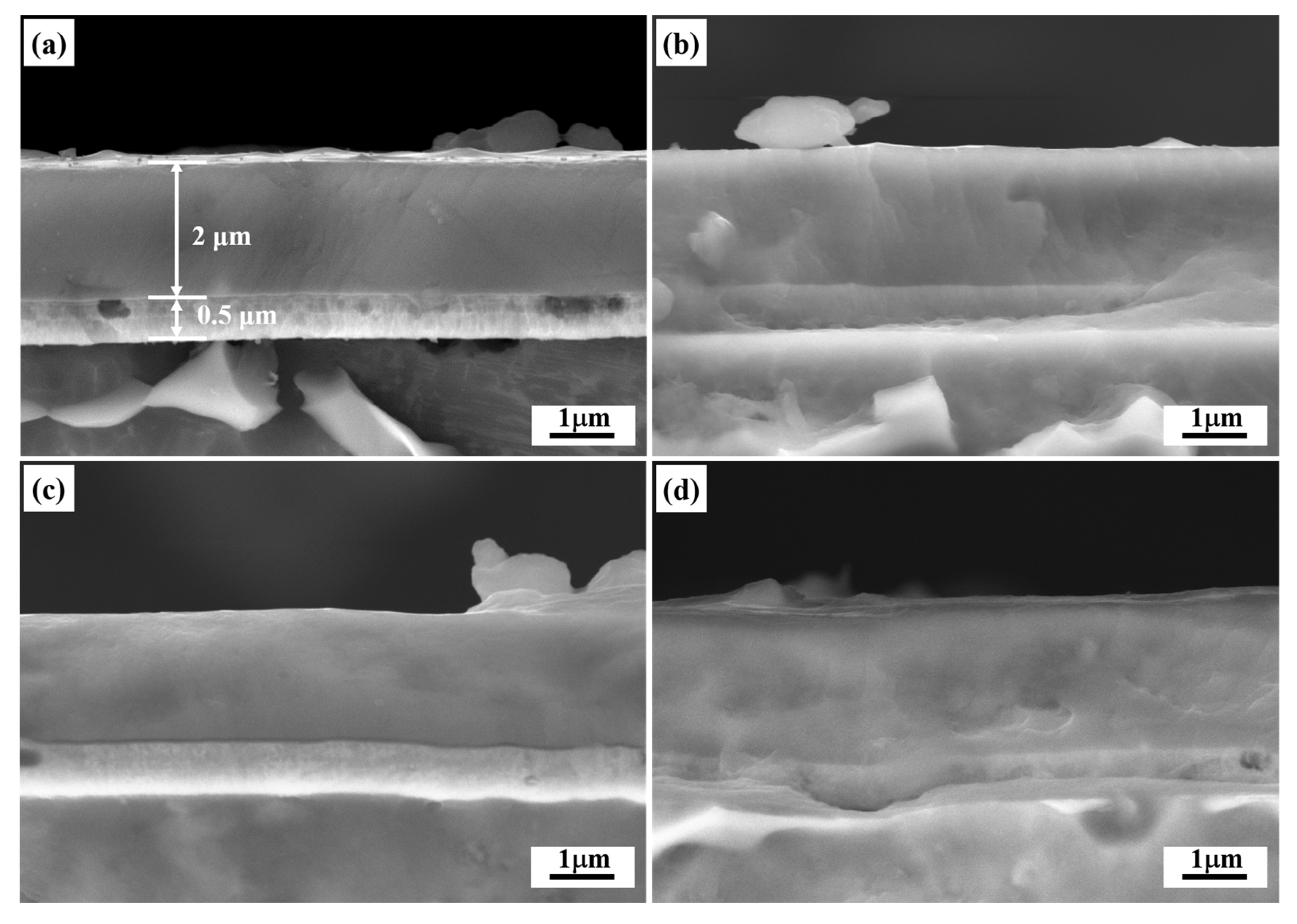 Metals 13 01306 g006