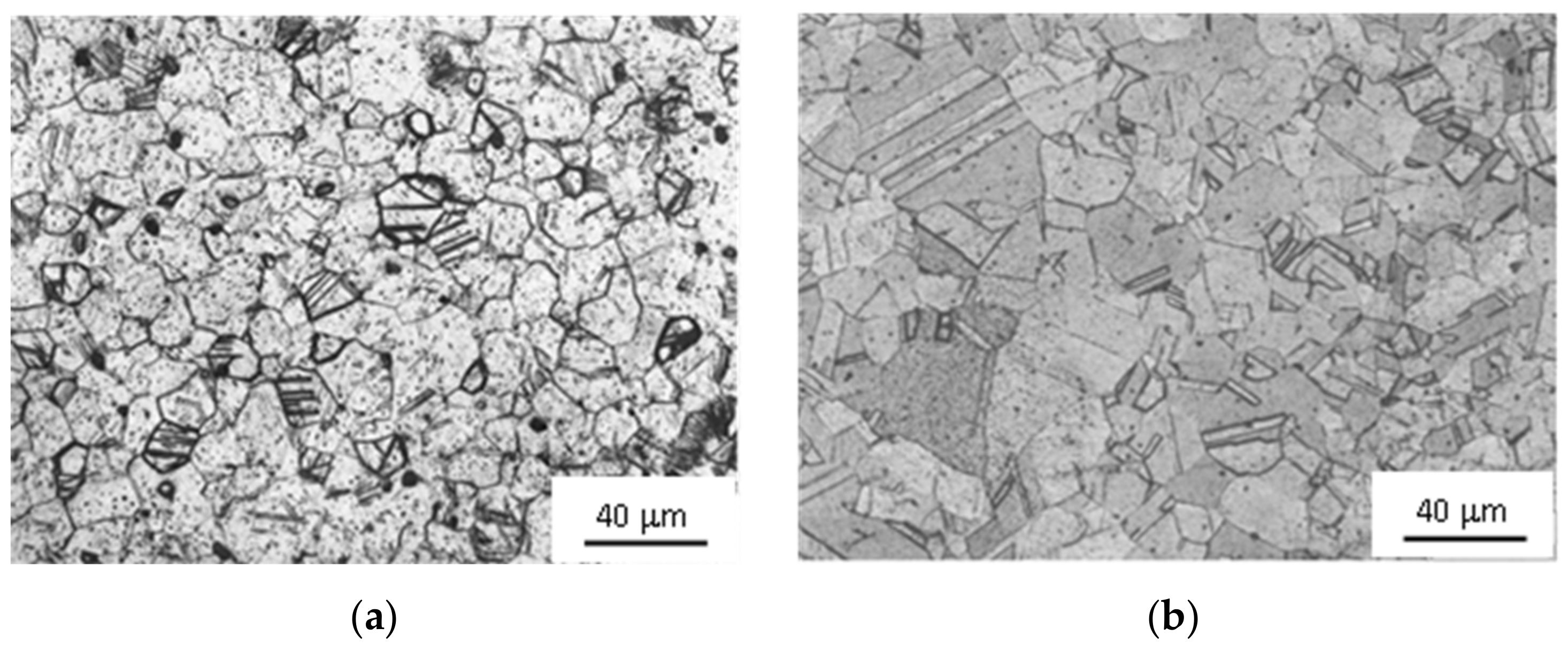 Metals 13 01307 g002a