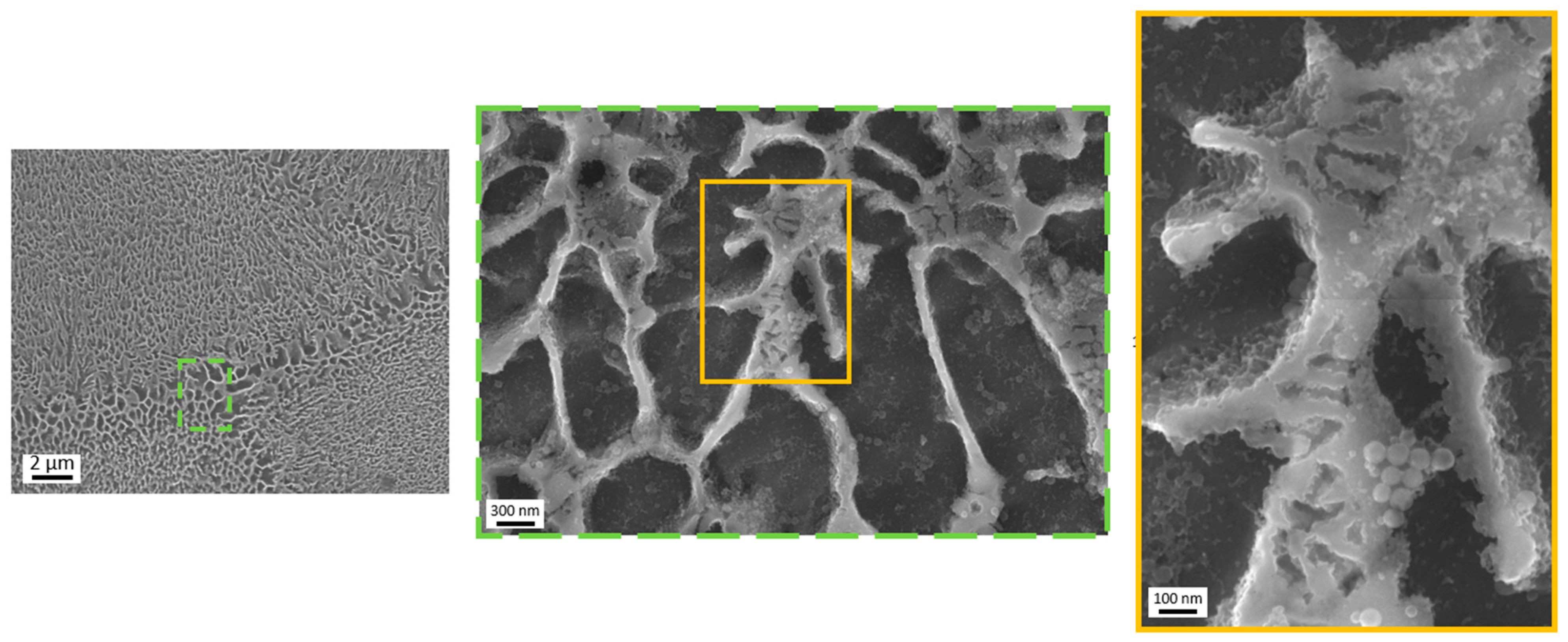 Metals 13 01315 g010