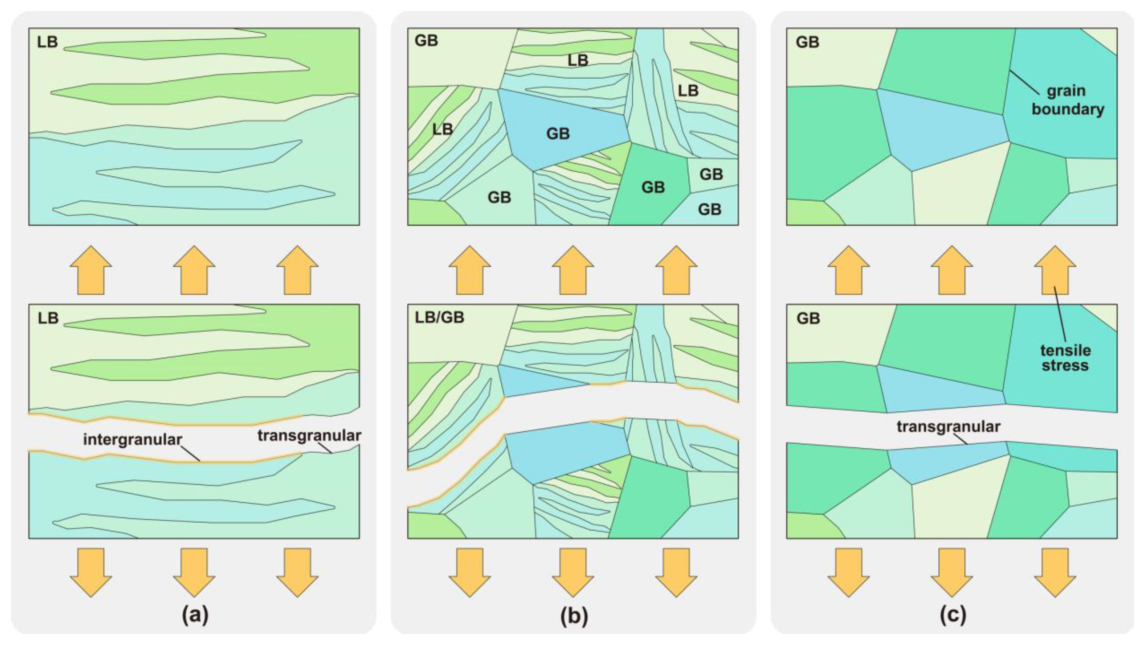 Metals 13 01325 g012