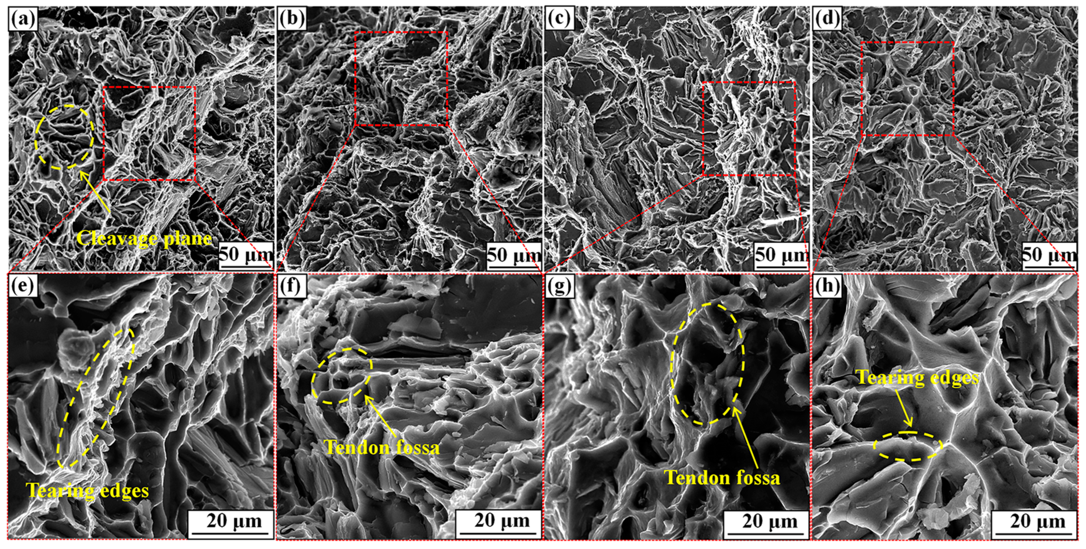 Metals 13 01344 g010 Metals 13 01344 g010