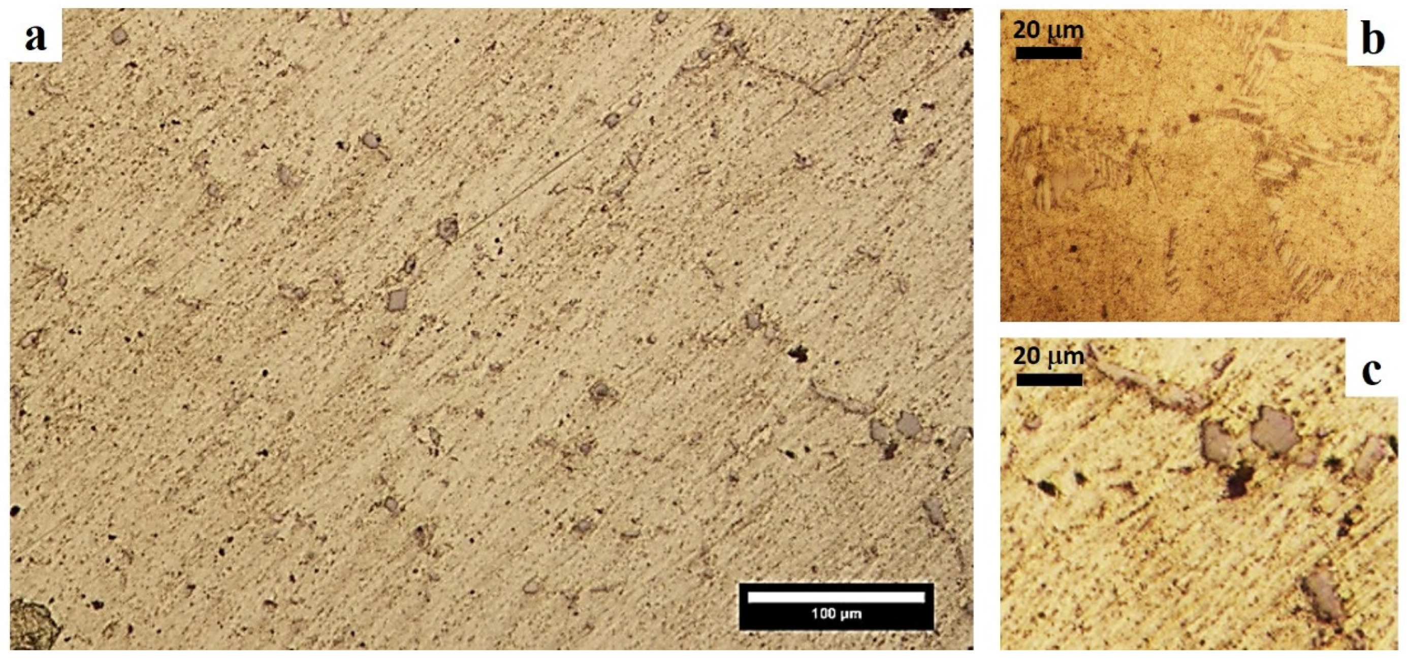 Metals 13 01345 g013