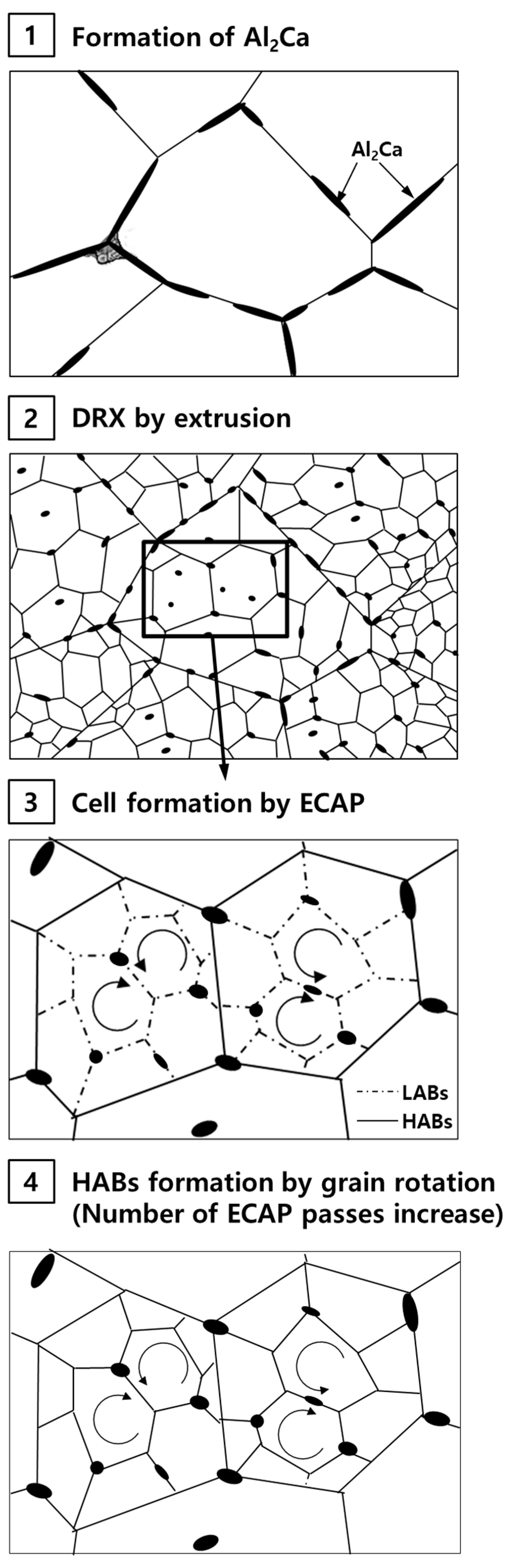 Metals 13 01356 g013