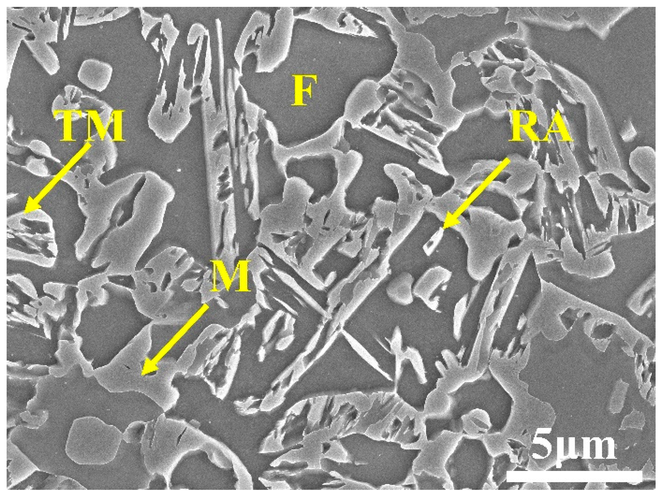 Metals 13 01363 g001