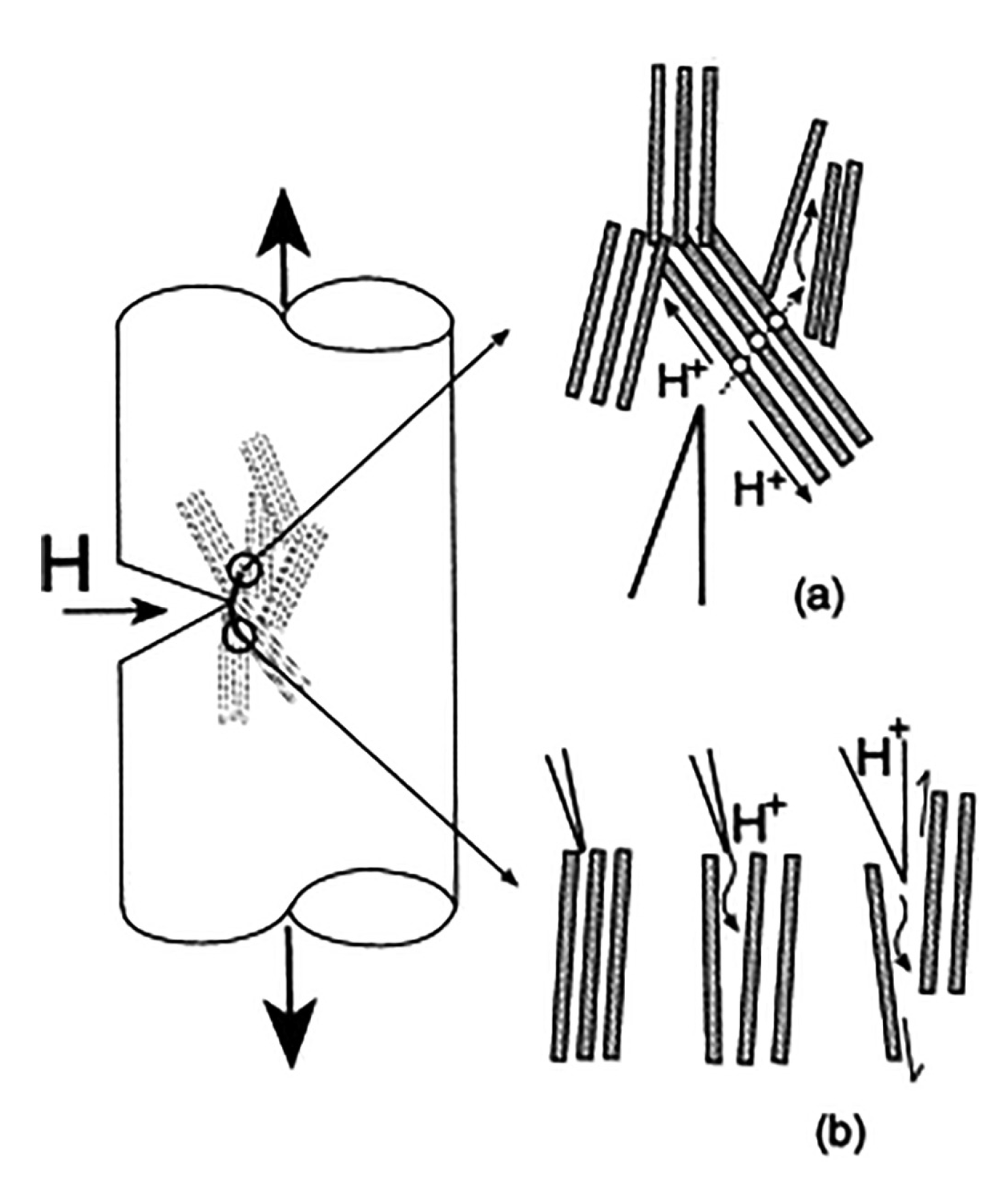 Metals 13 01365 g014