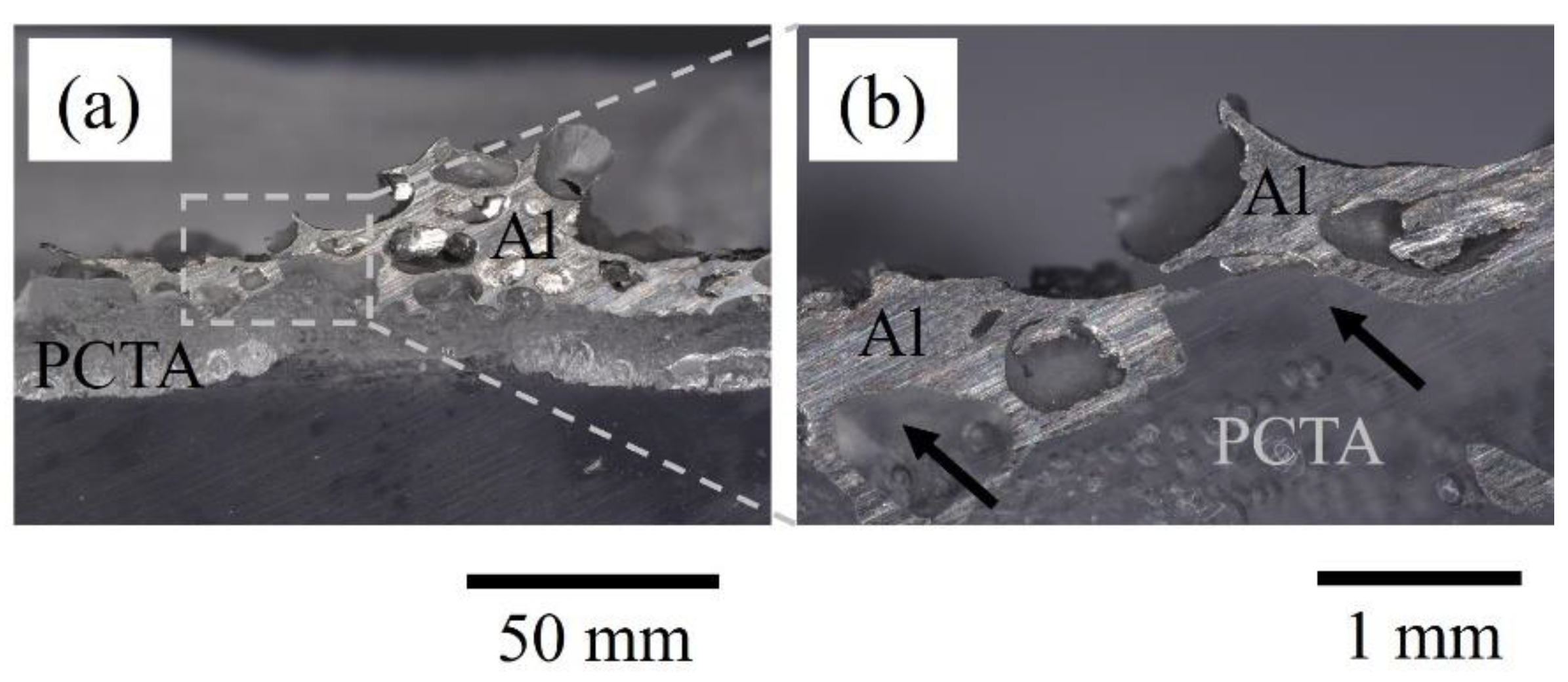 Metals 13 01366 g012