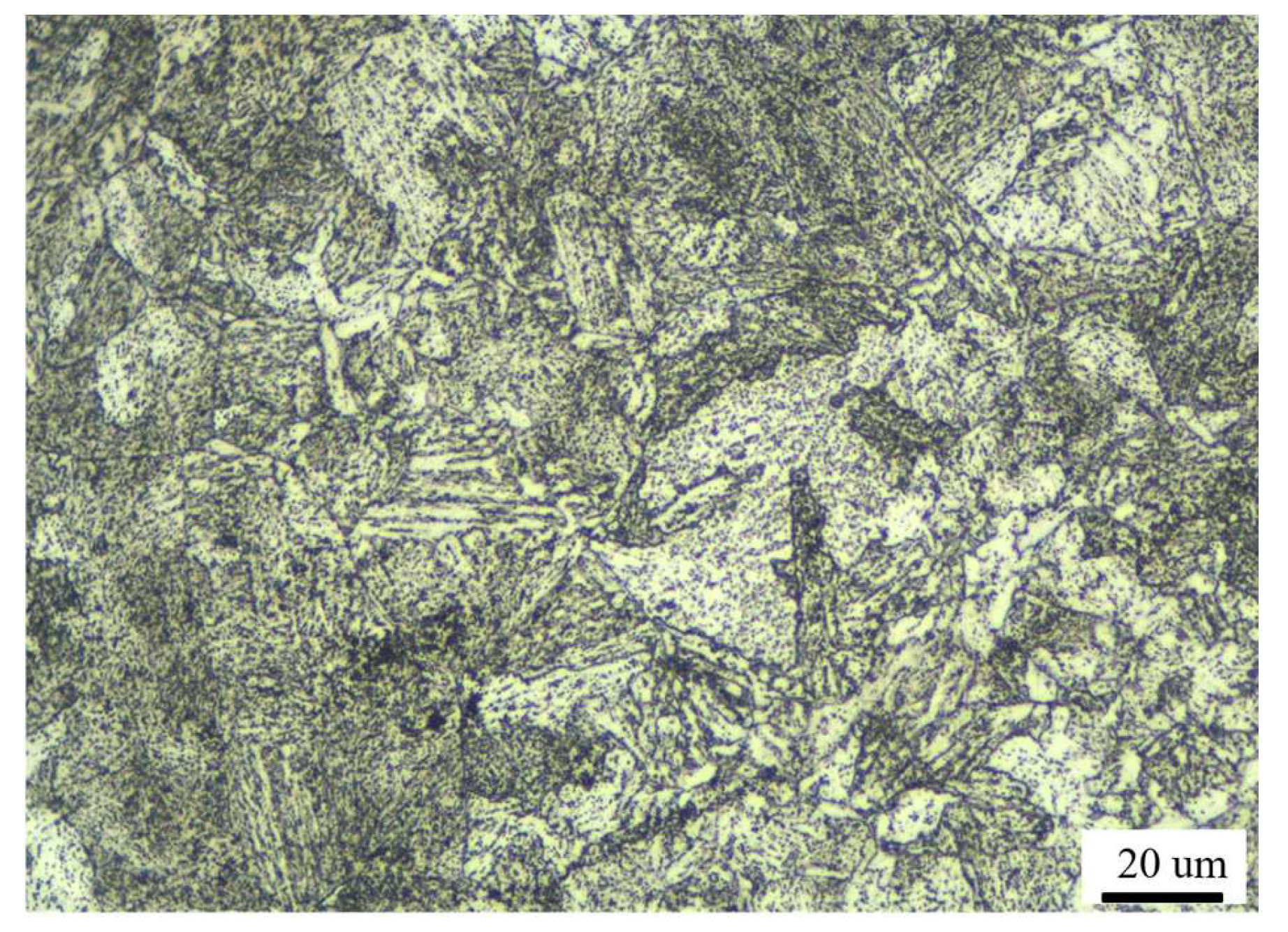 Metals 13 01379 g005