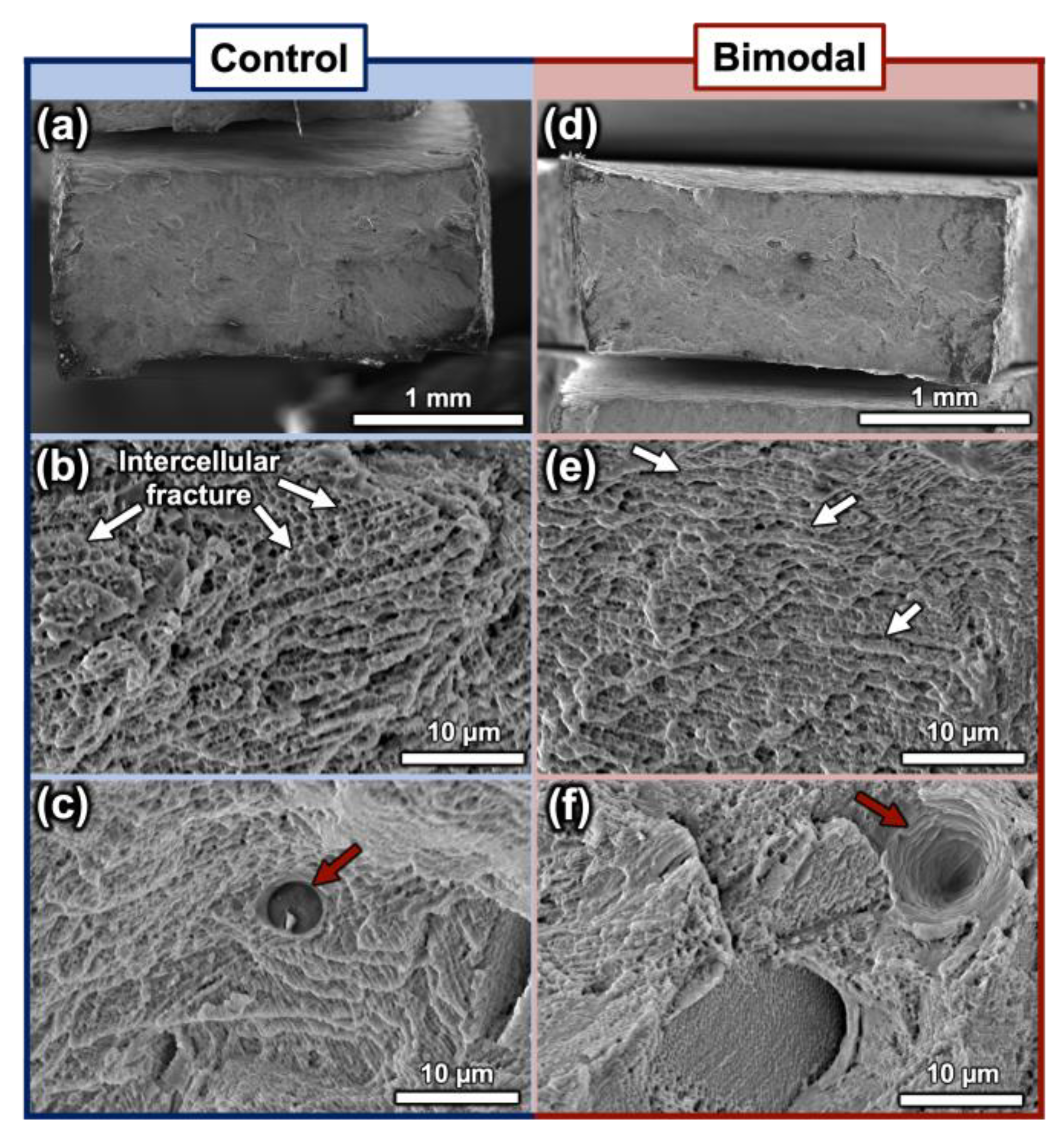 Metals 13 01384 g006