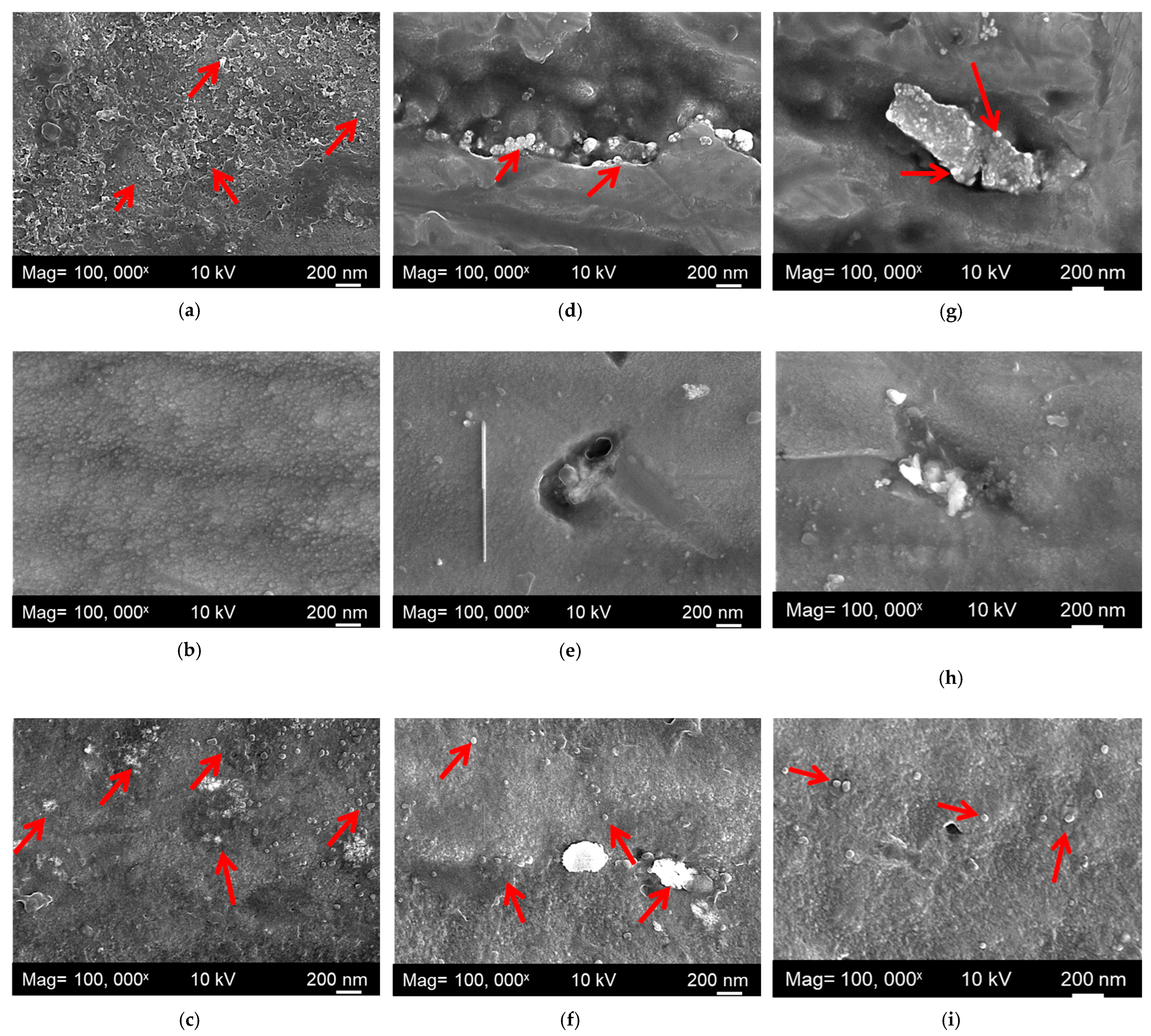 Metals 13 01393 g009 Metals 13 01393 g009