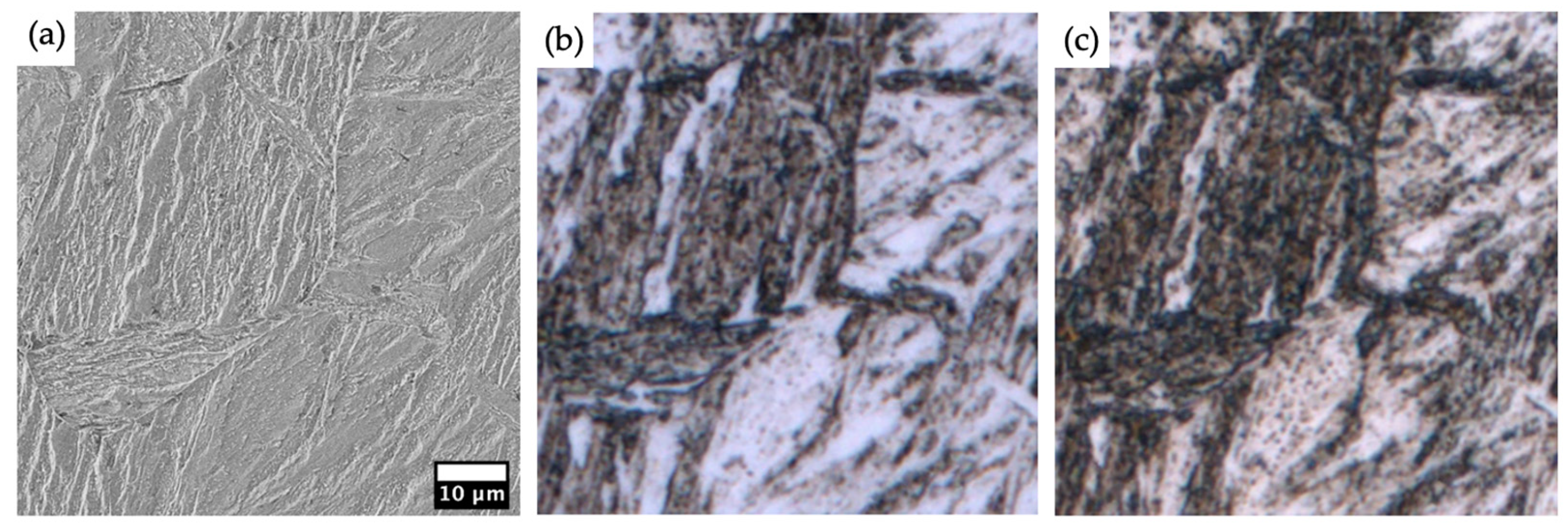 Metals 13 01395 g011 Metals 13 01395 g011