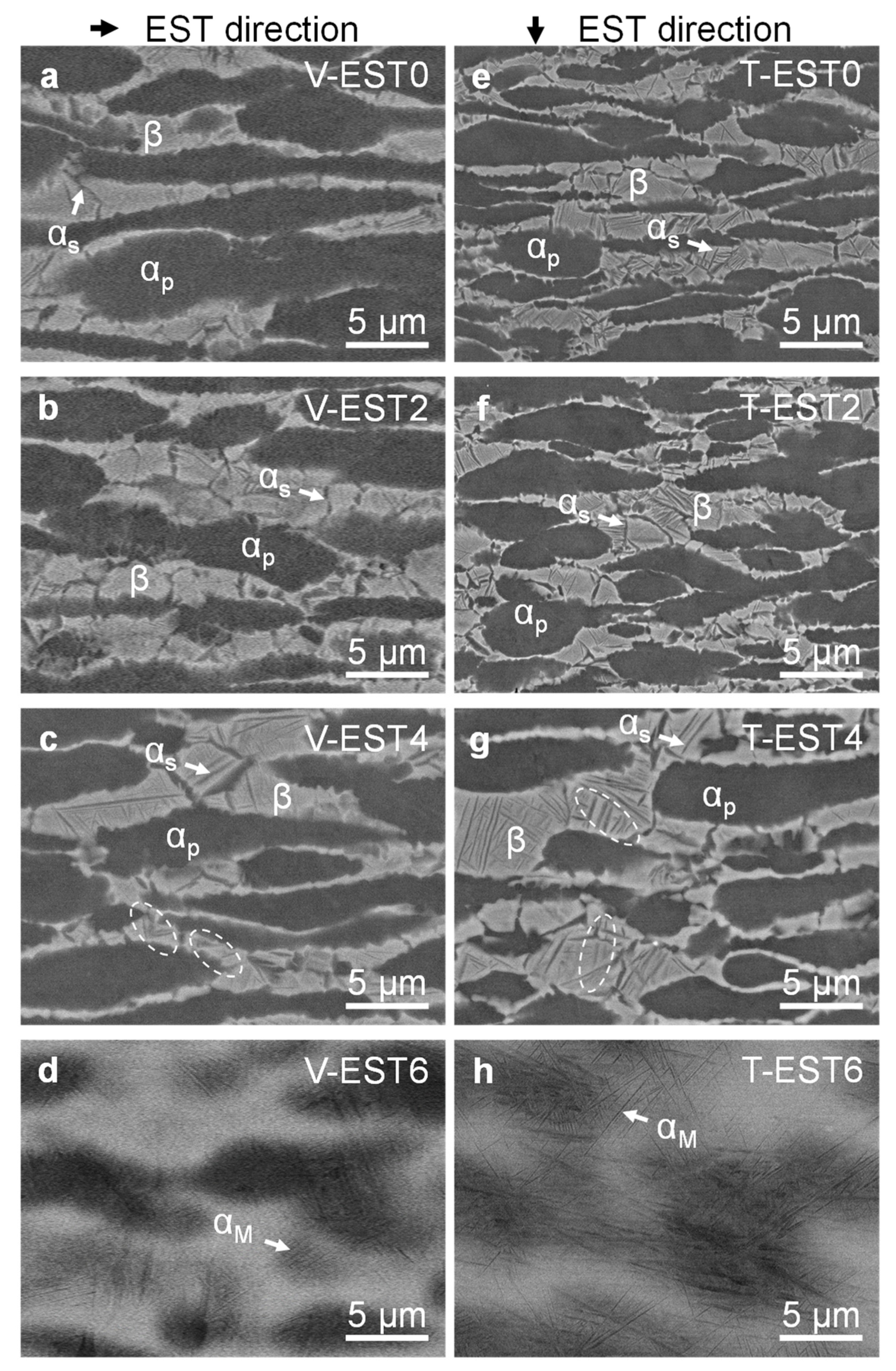 Metals 13 01396 g005