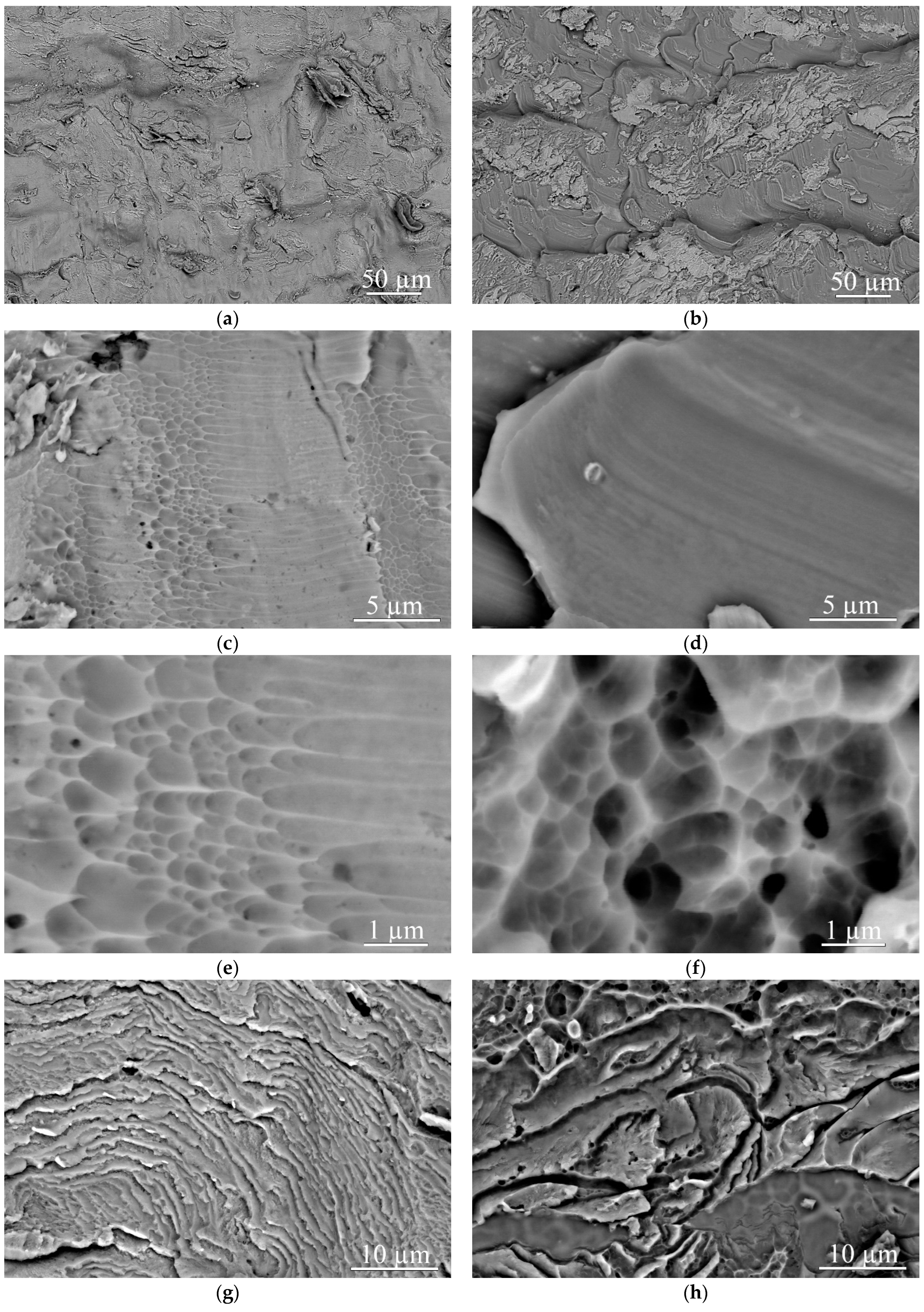 Metals 13 01417 g005a