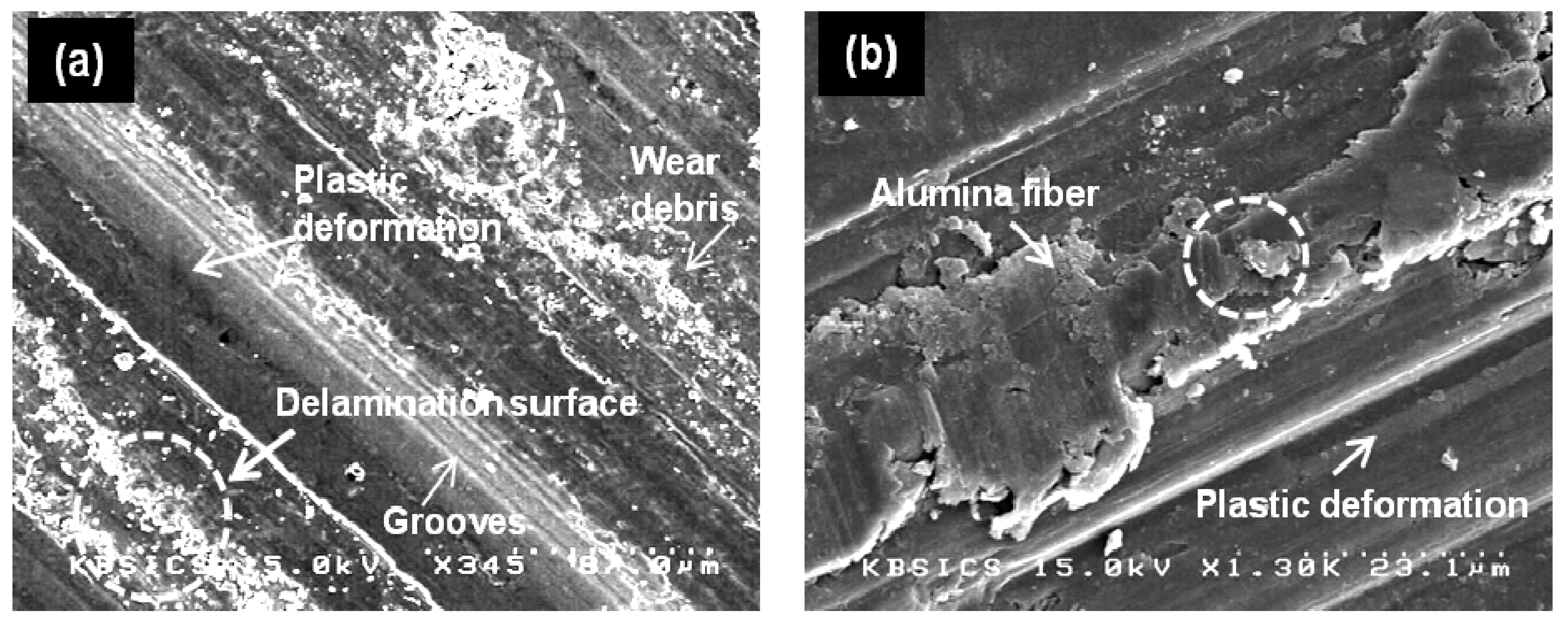 Metals 13 01418 g008