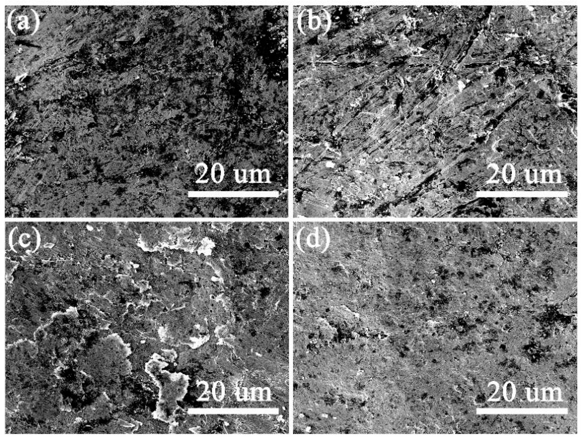 Metals 13 01441 g004