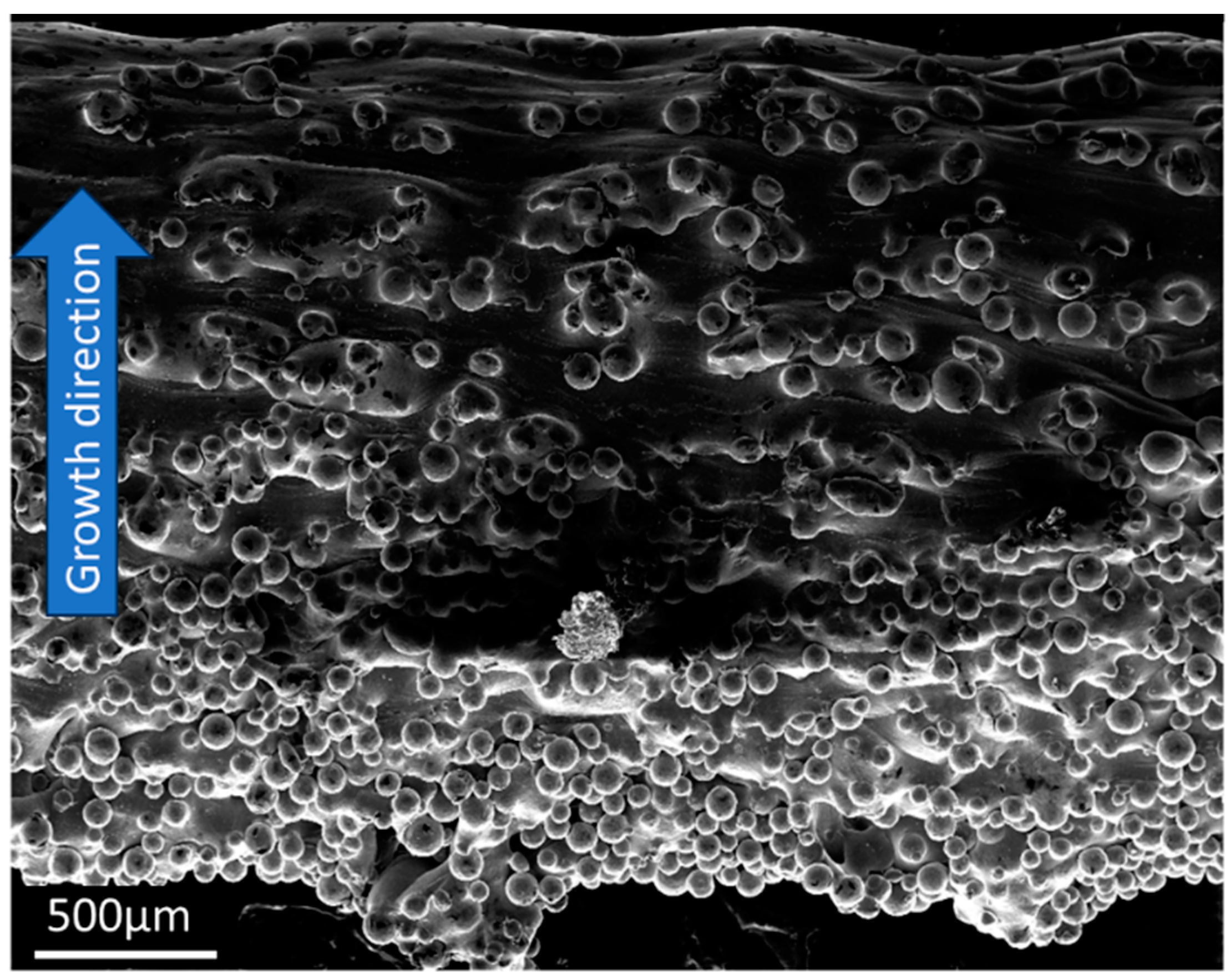 Metals 13 01454 g007