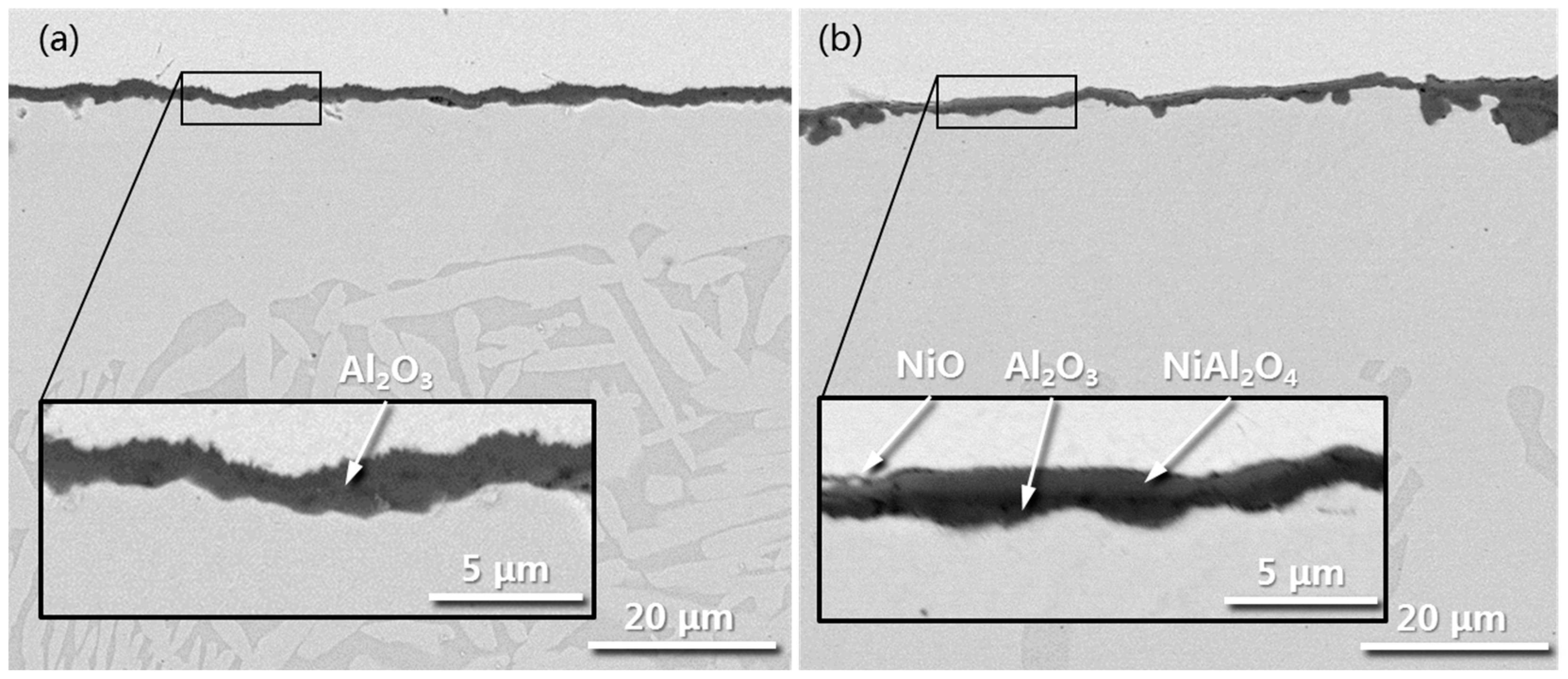 Metals 13 01461 g009