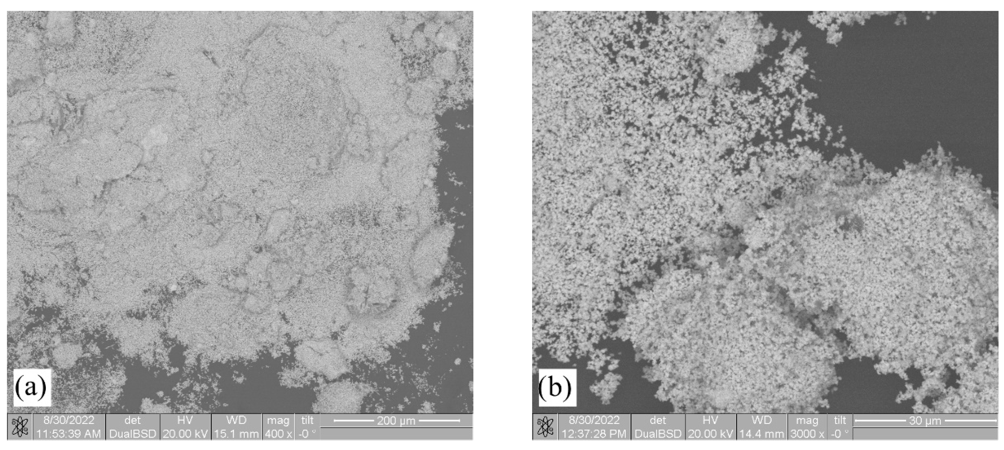 Metals 13 01463 g004 Metals 13 01463 g004