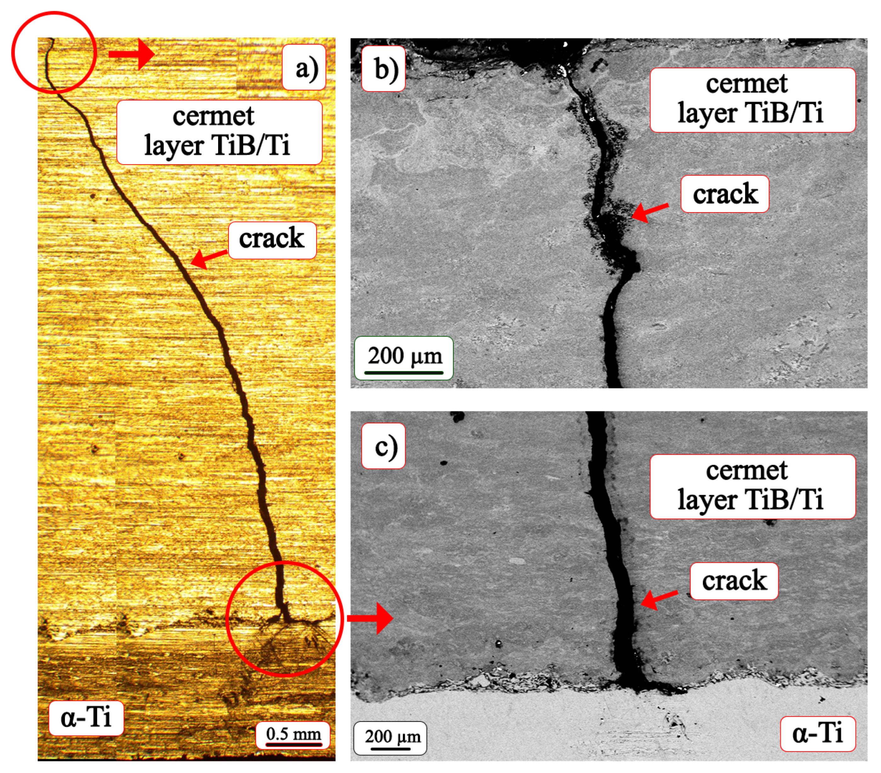 Metals 13 01480 g006