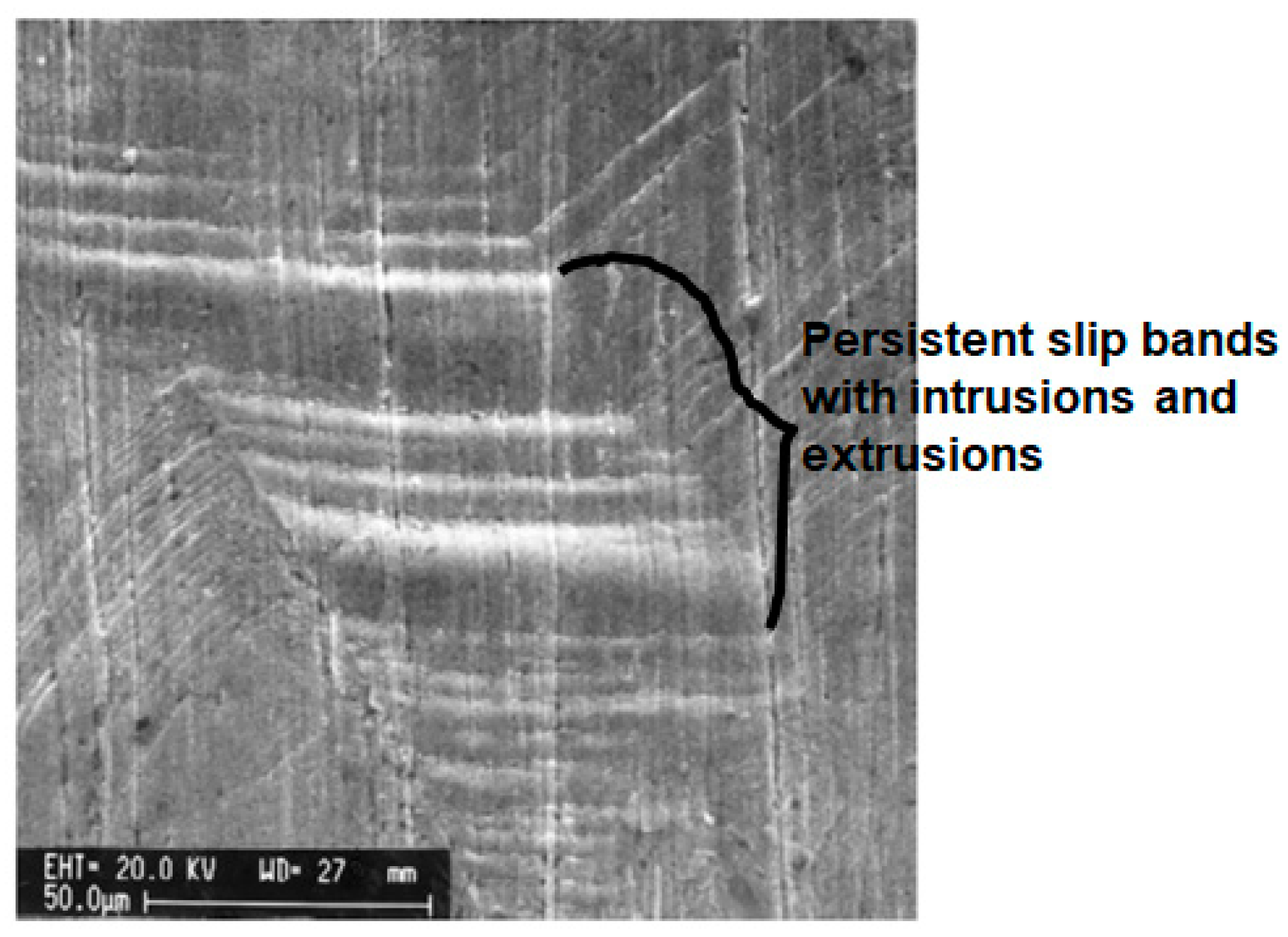 Metals 13 01491 g006