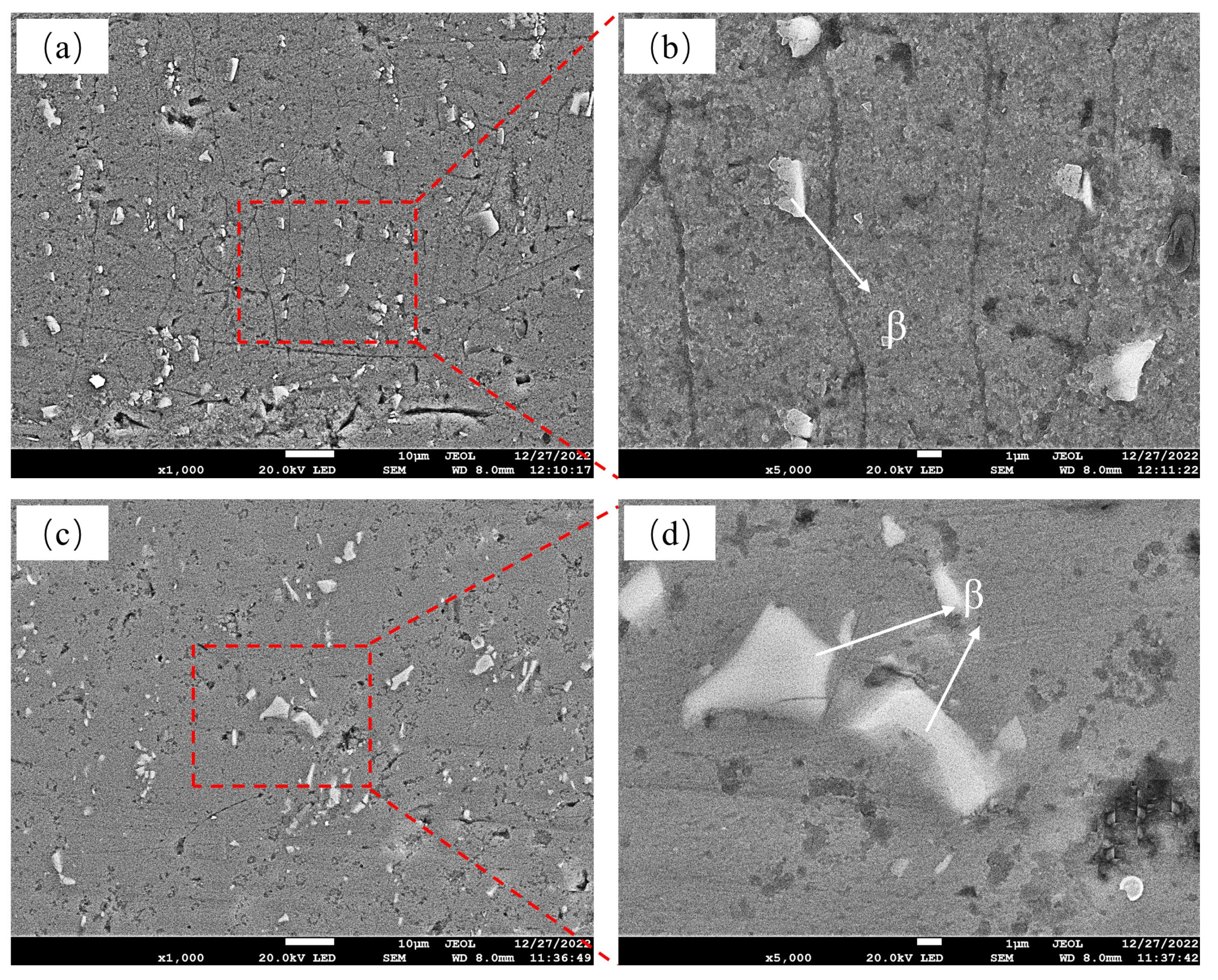 Metals 13 01494 g006a