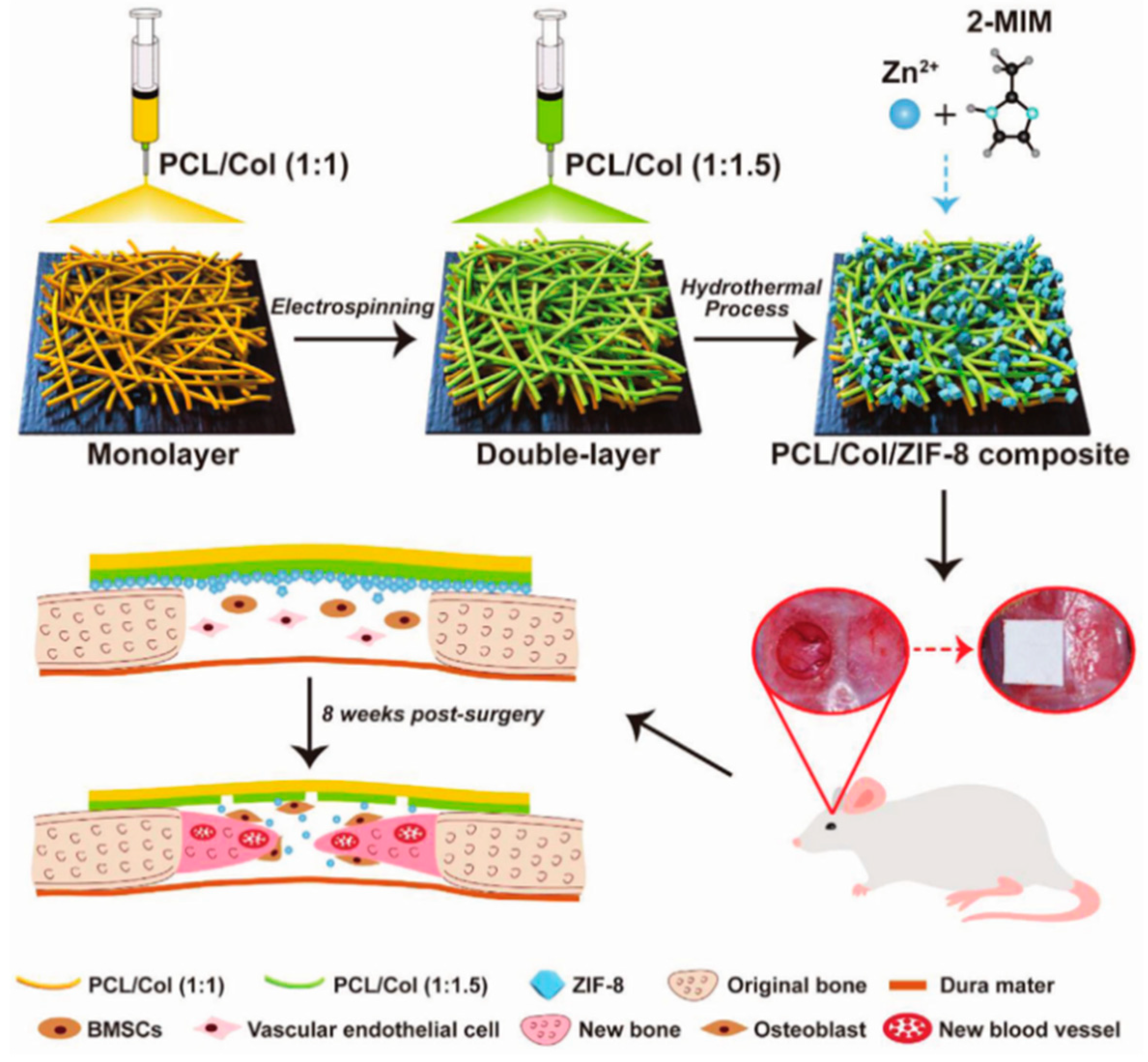 Metals 13 01511 g008