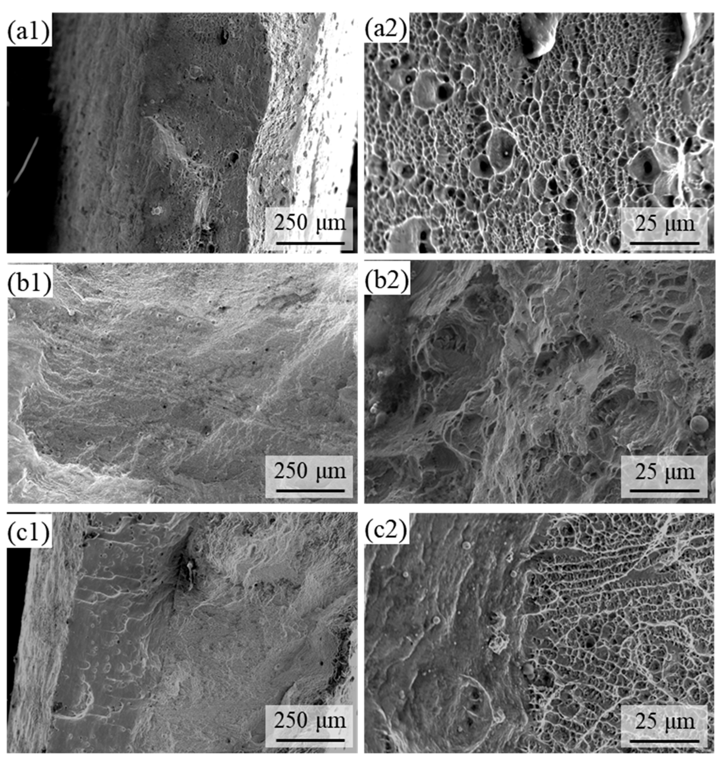 Metals 13 01525 g008