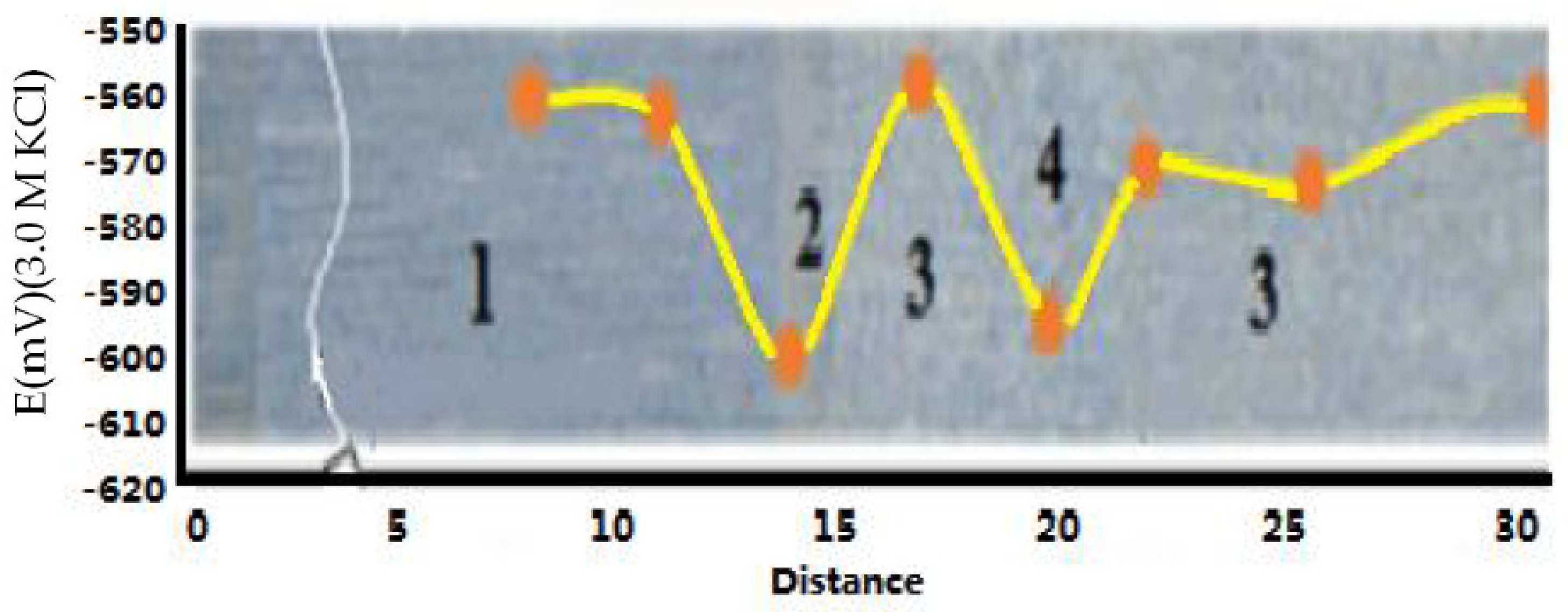 Metals 13 01528 g008