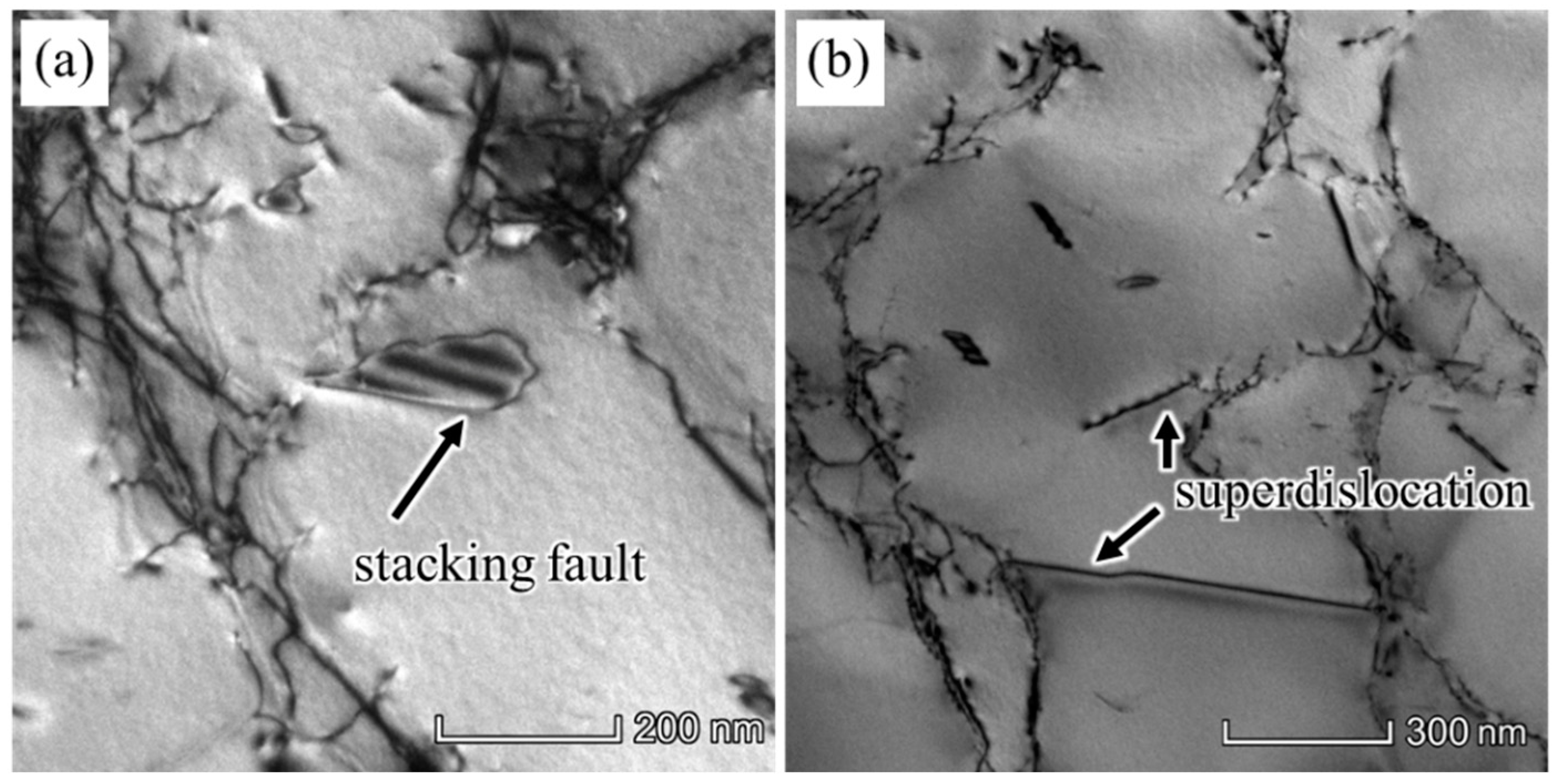 Metals 13 01541 g008