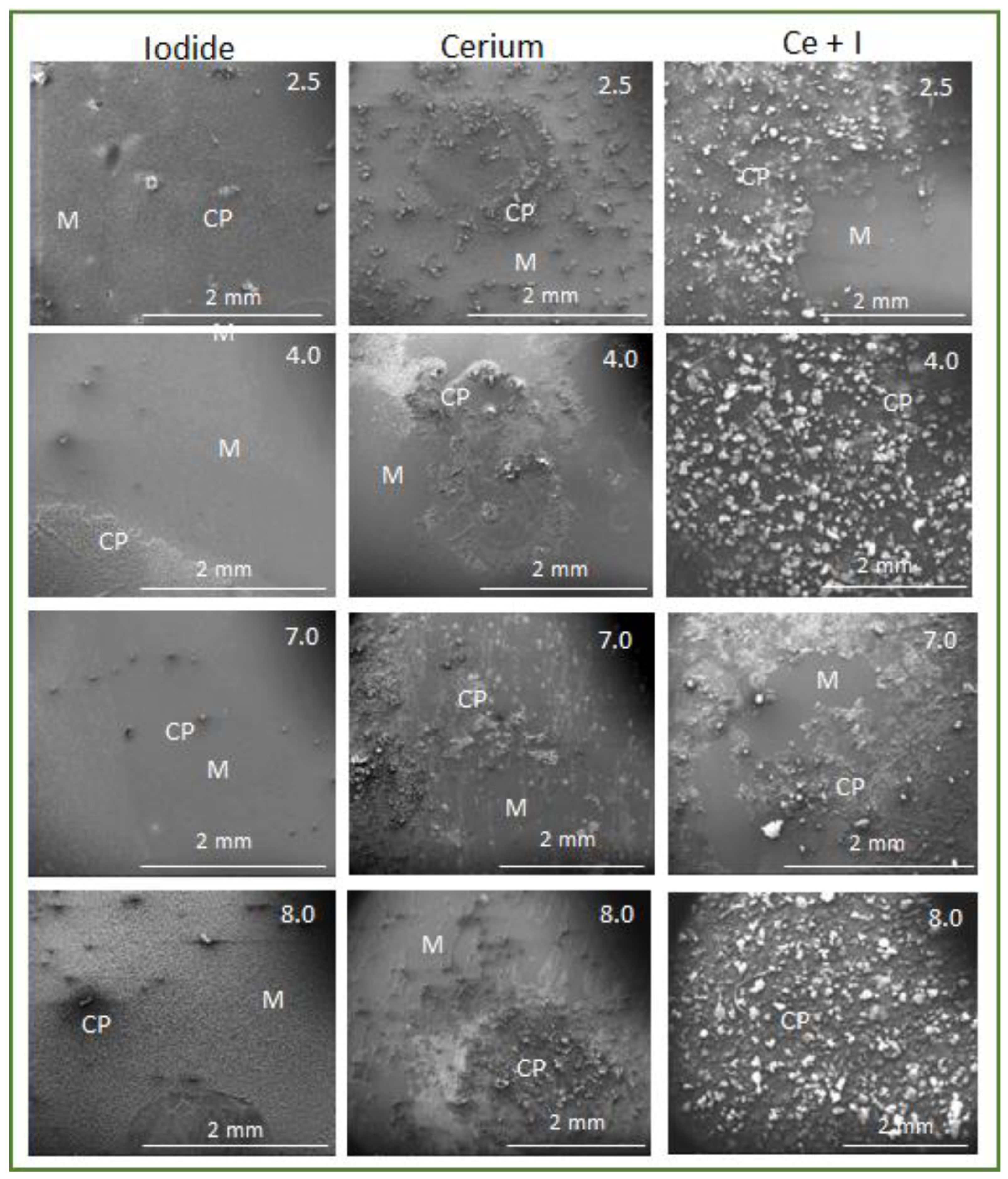 Metals 13 01553 g006