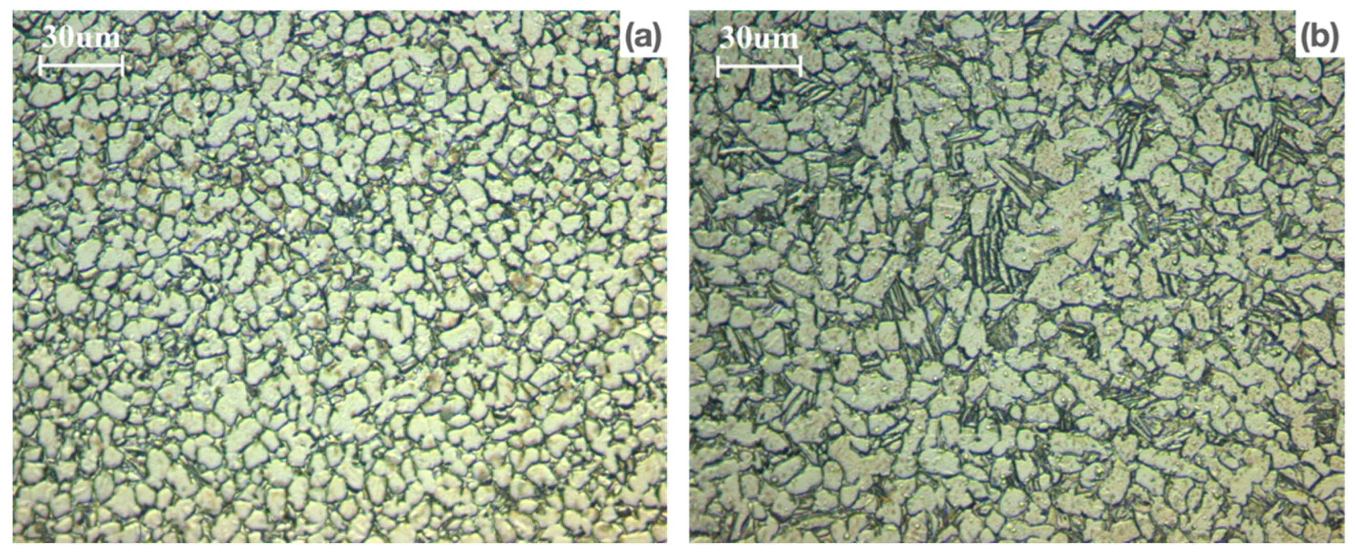 Metals 13 01573 g009