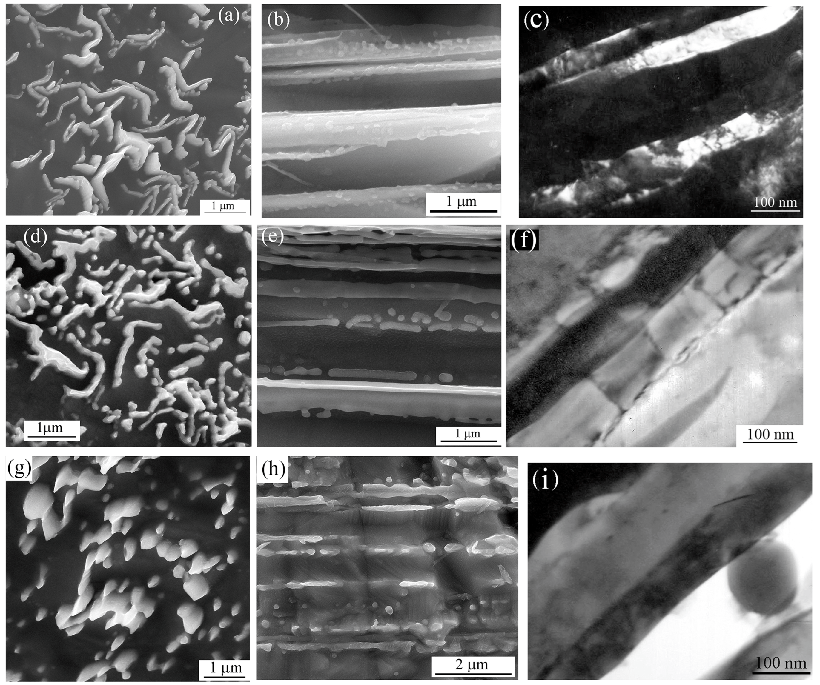 Metals 13 01576 g008 Metals 13 01576 g008