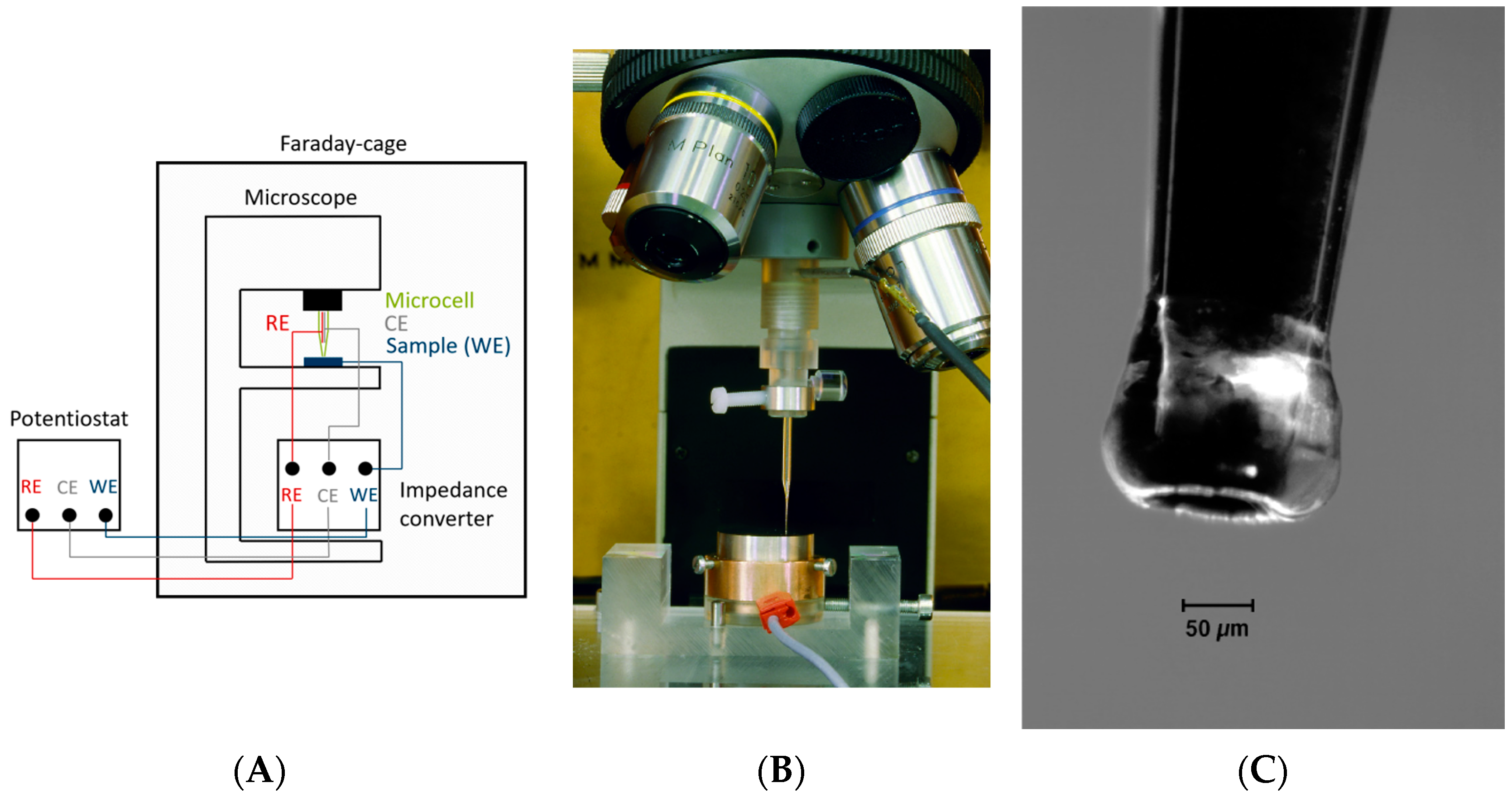 Metals 13 01585 g004