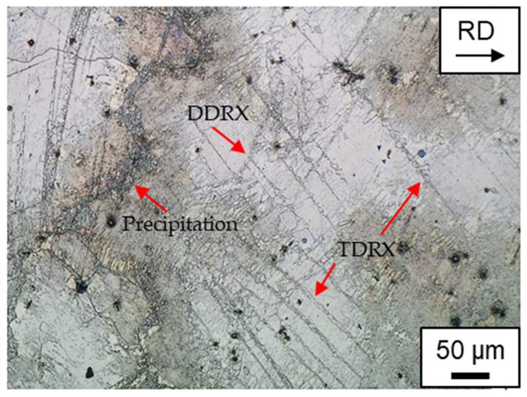 Metals 13 01599 g013
