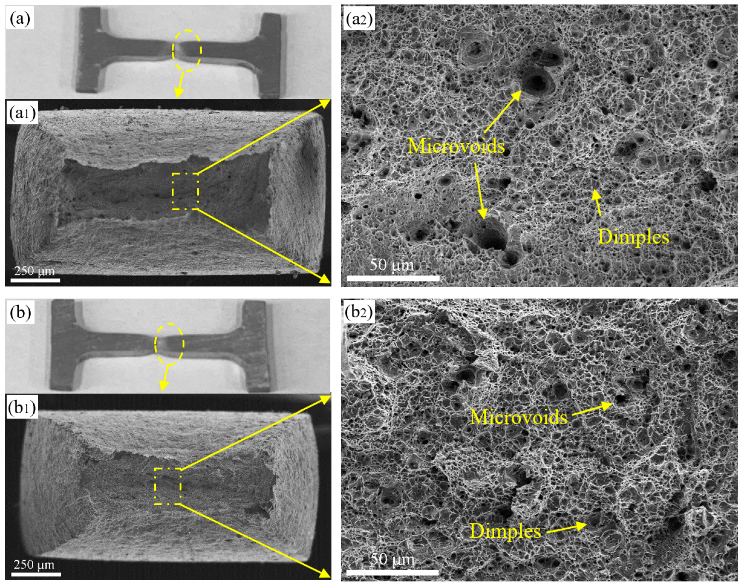 Metals 13 01607 g011