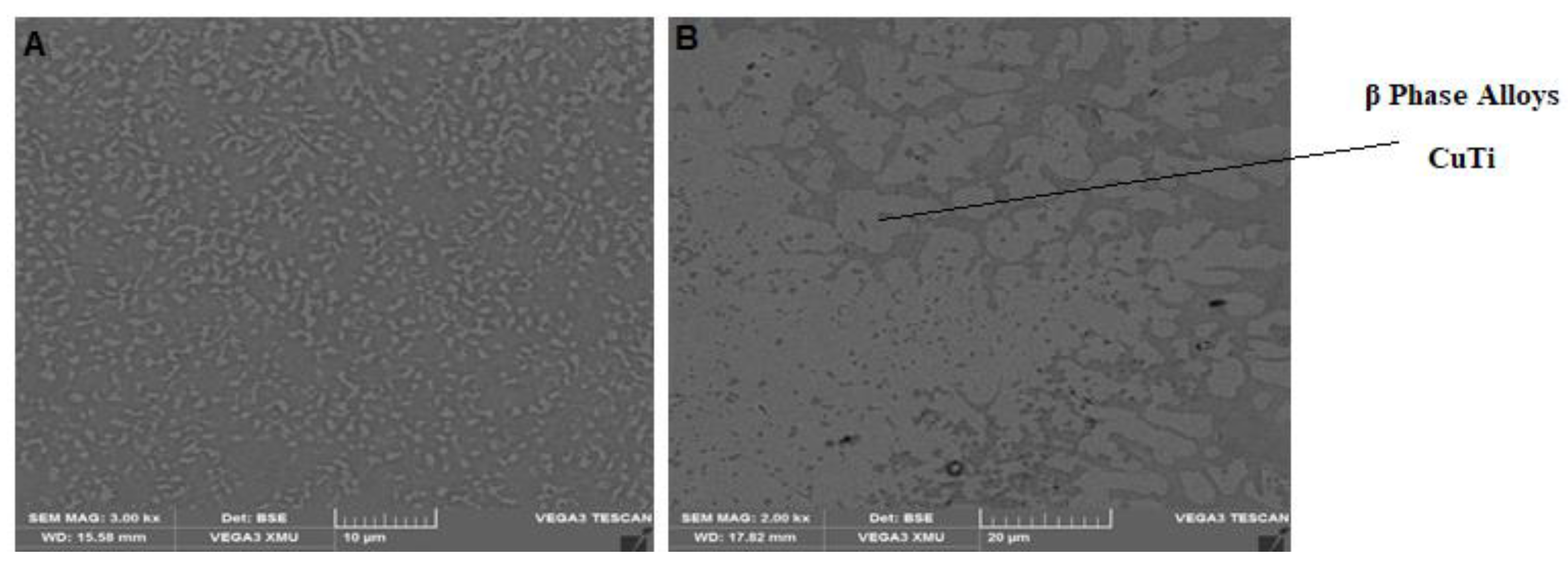 Metals 13 01617 g010