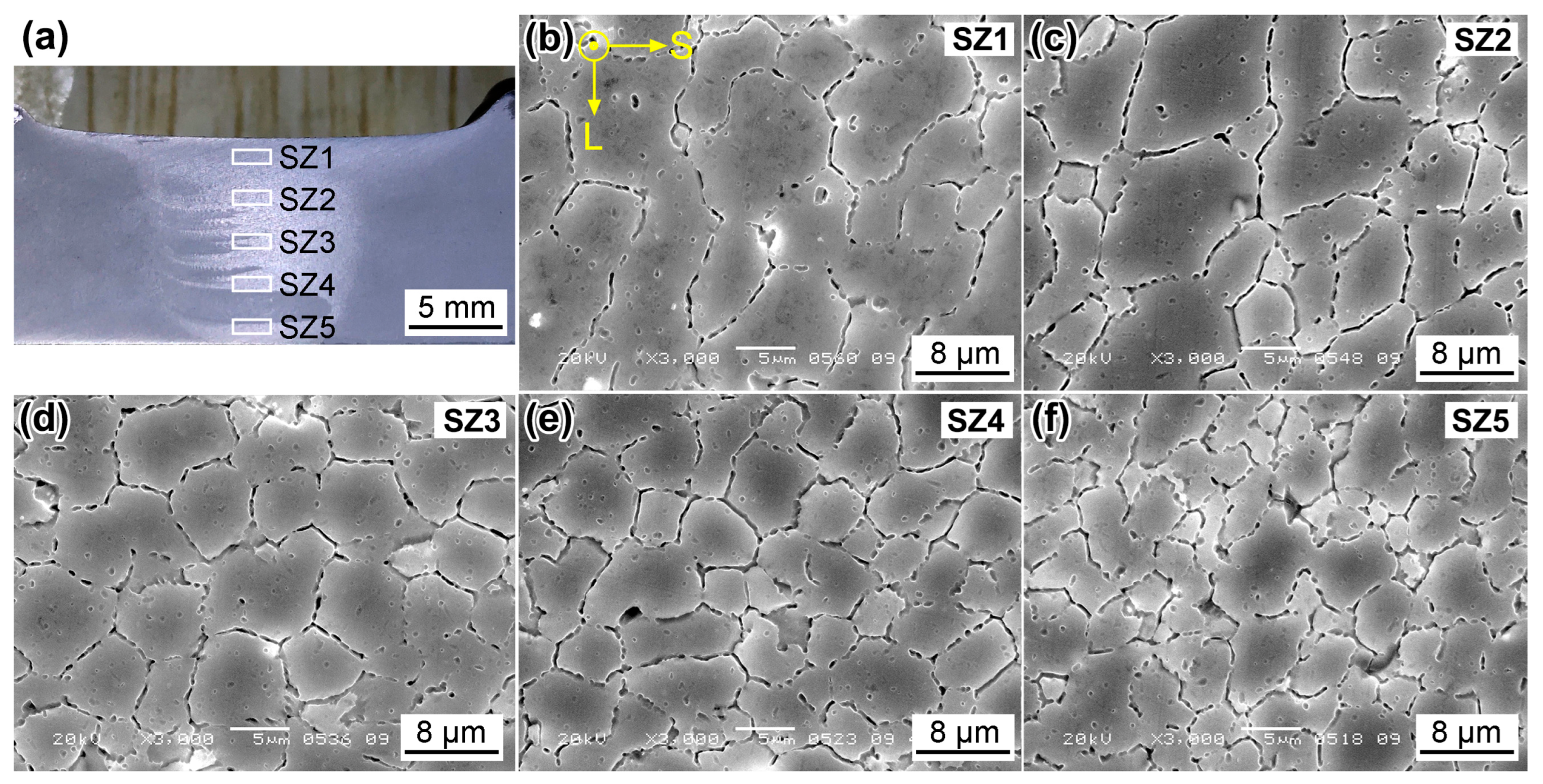 Metals 13 01618 g007