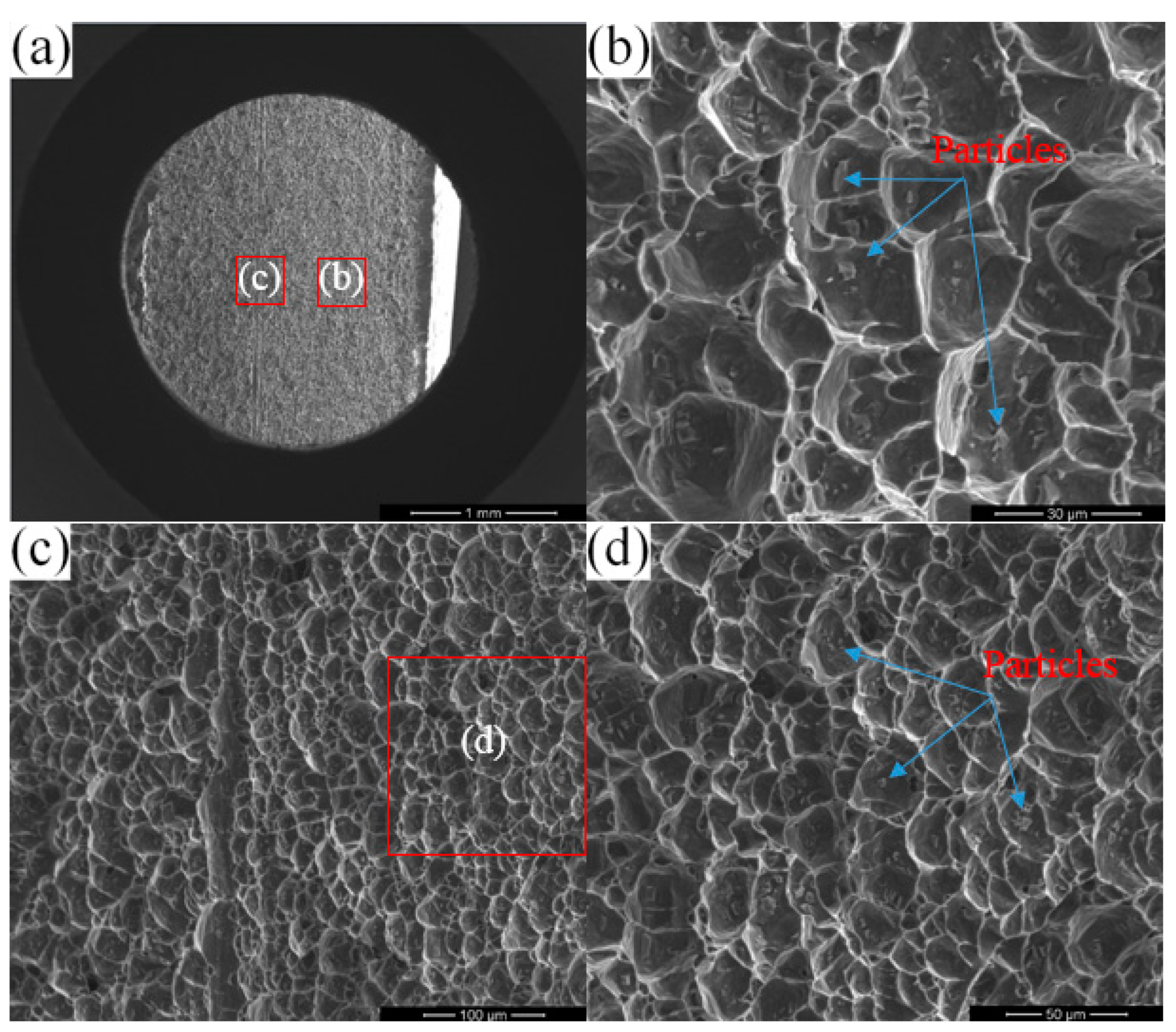 Metals 13 01621 g016