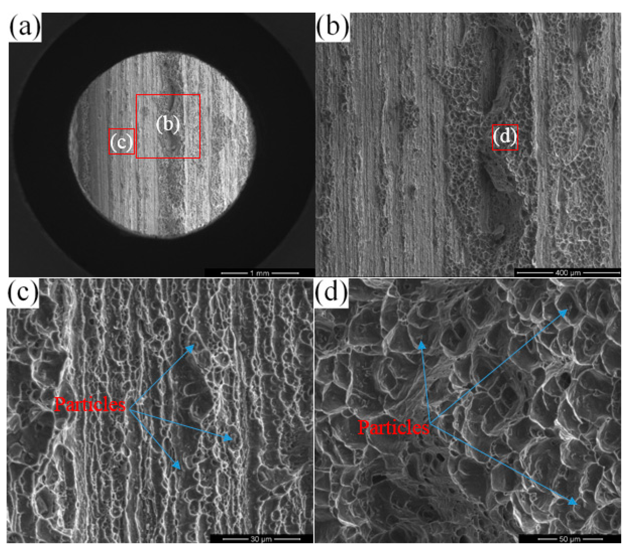 Metals 13 01621 g018
