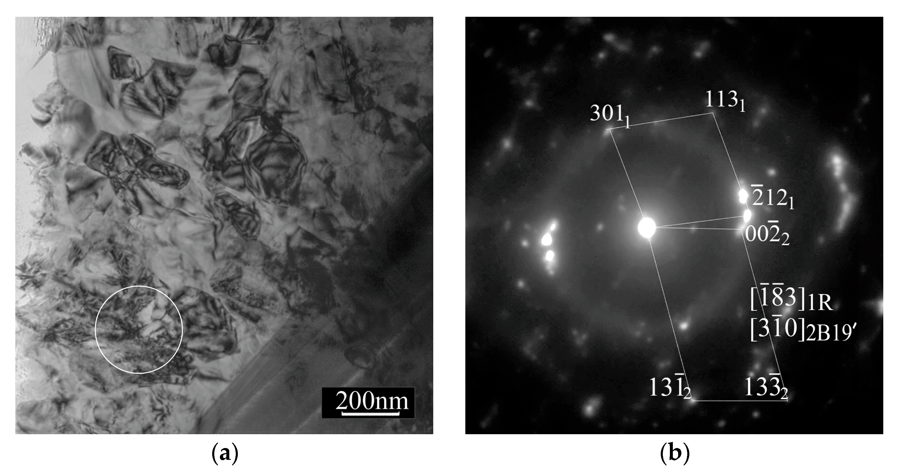 Metals 13 01632 g006a