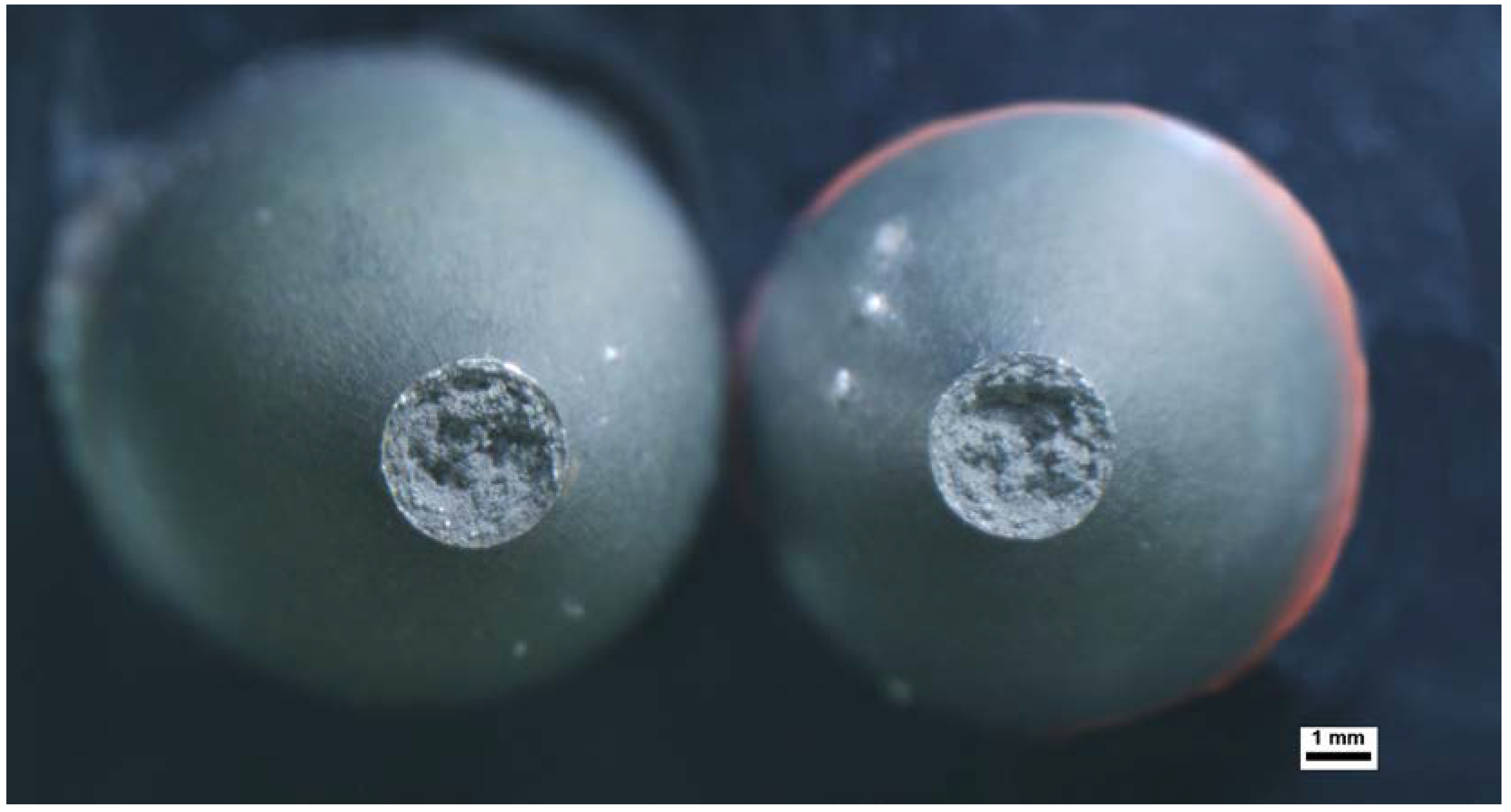 Metals 13 01633 g010 Metals 13 01633 g010