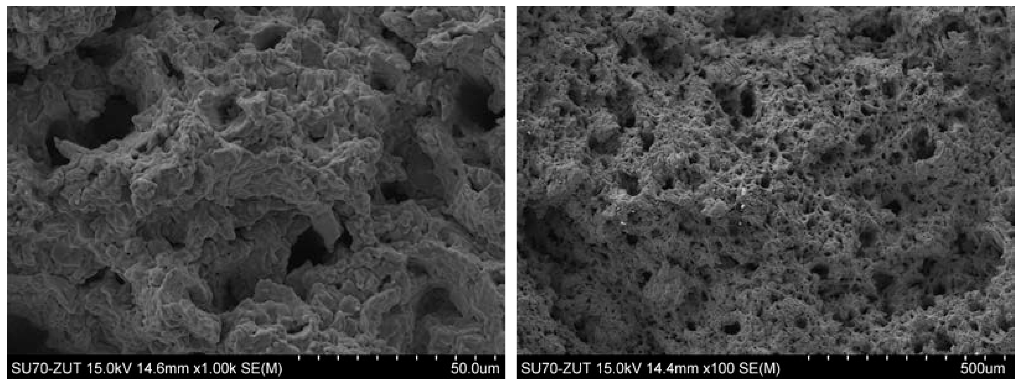 Metals 13 01633 g018 Metals 13 01633 g018