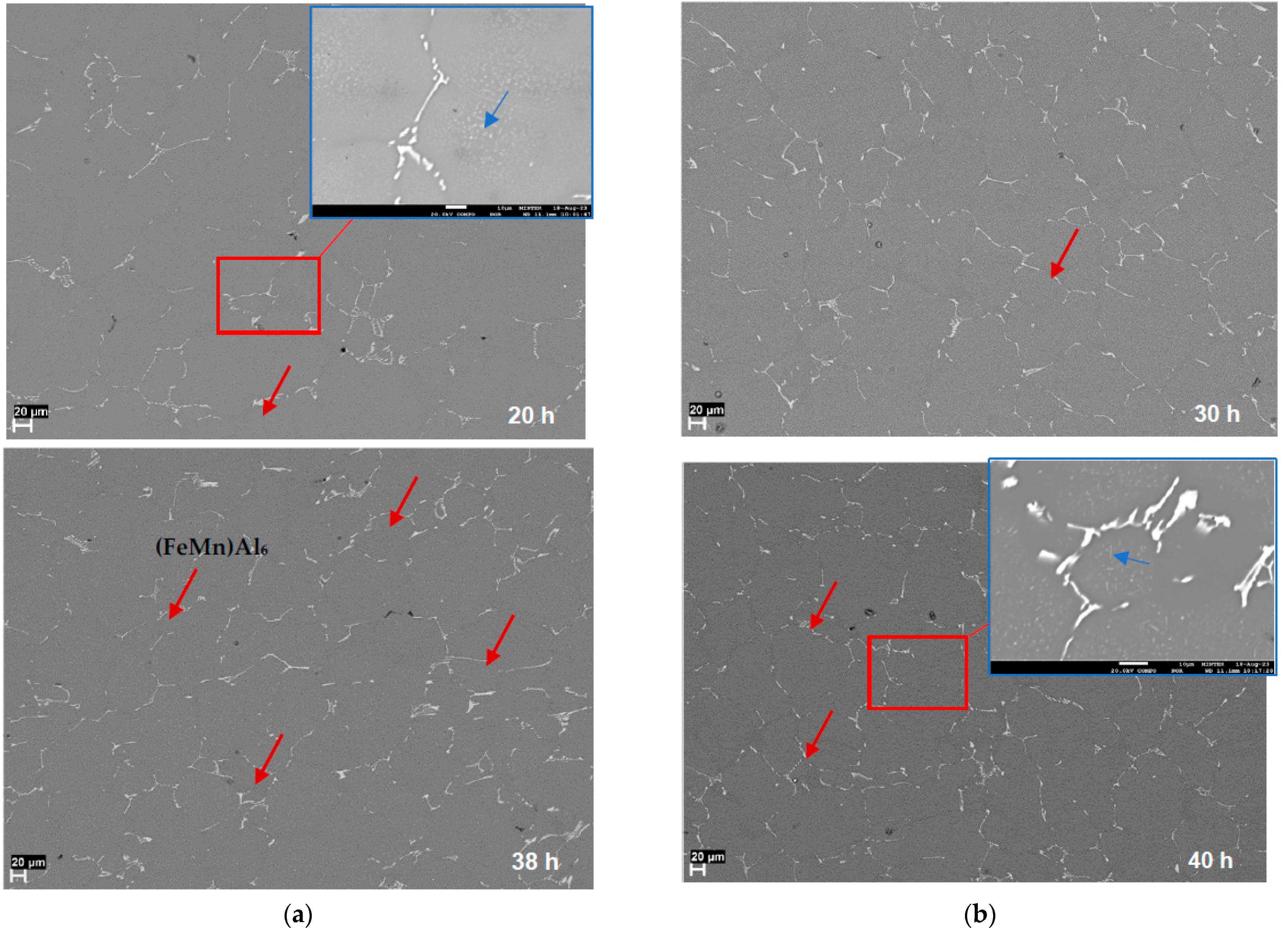 Metals 13 01636 g006a