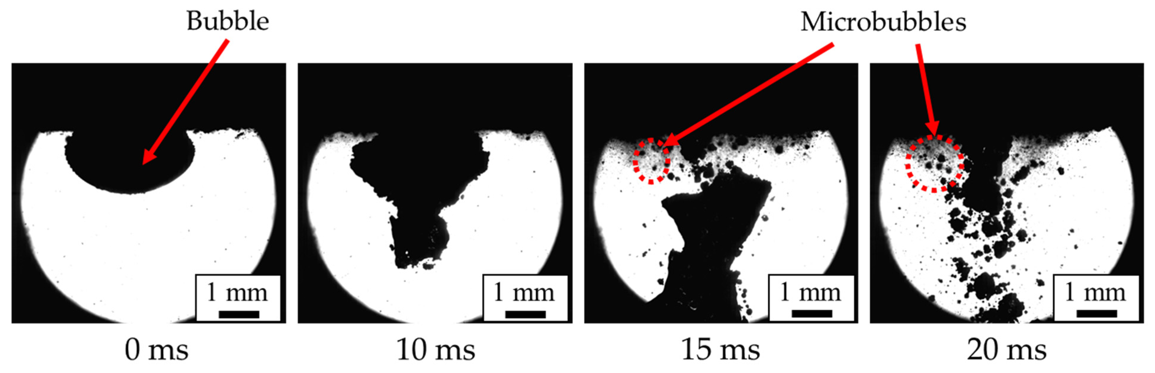 Metals 13 01648 g002