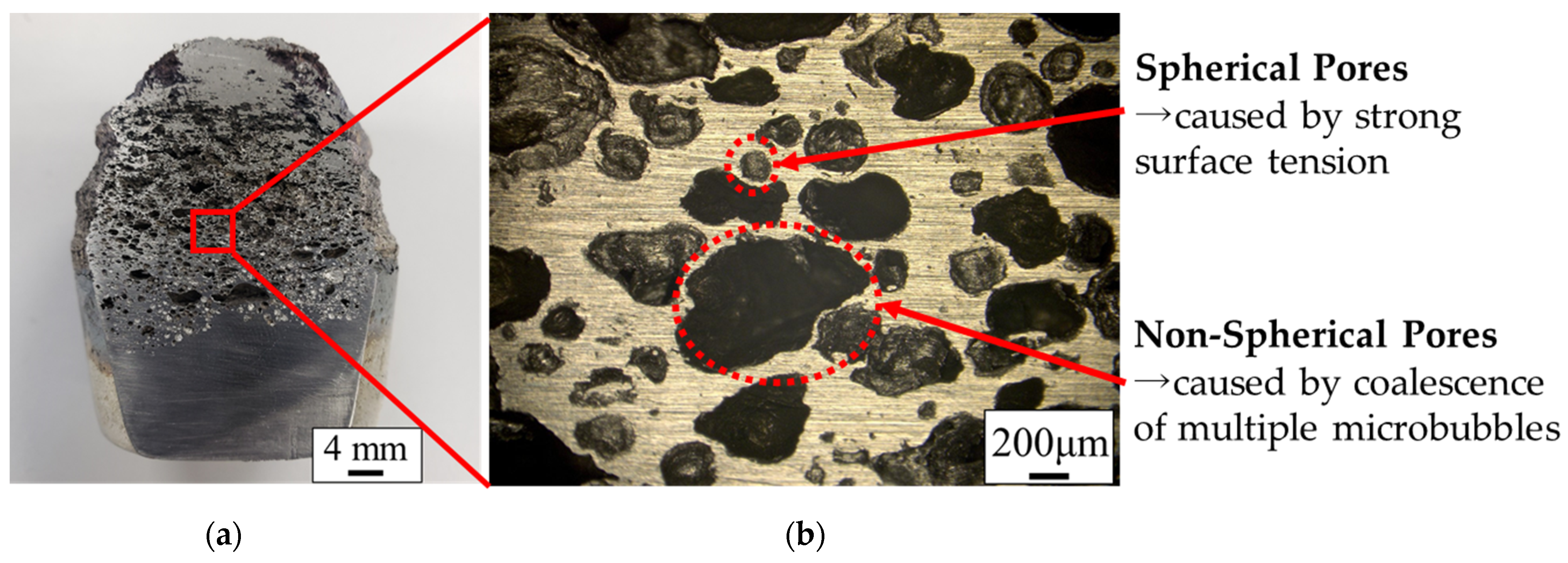 Metals 13 01648 g005