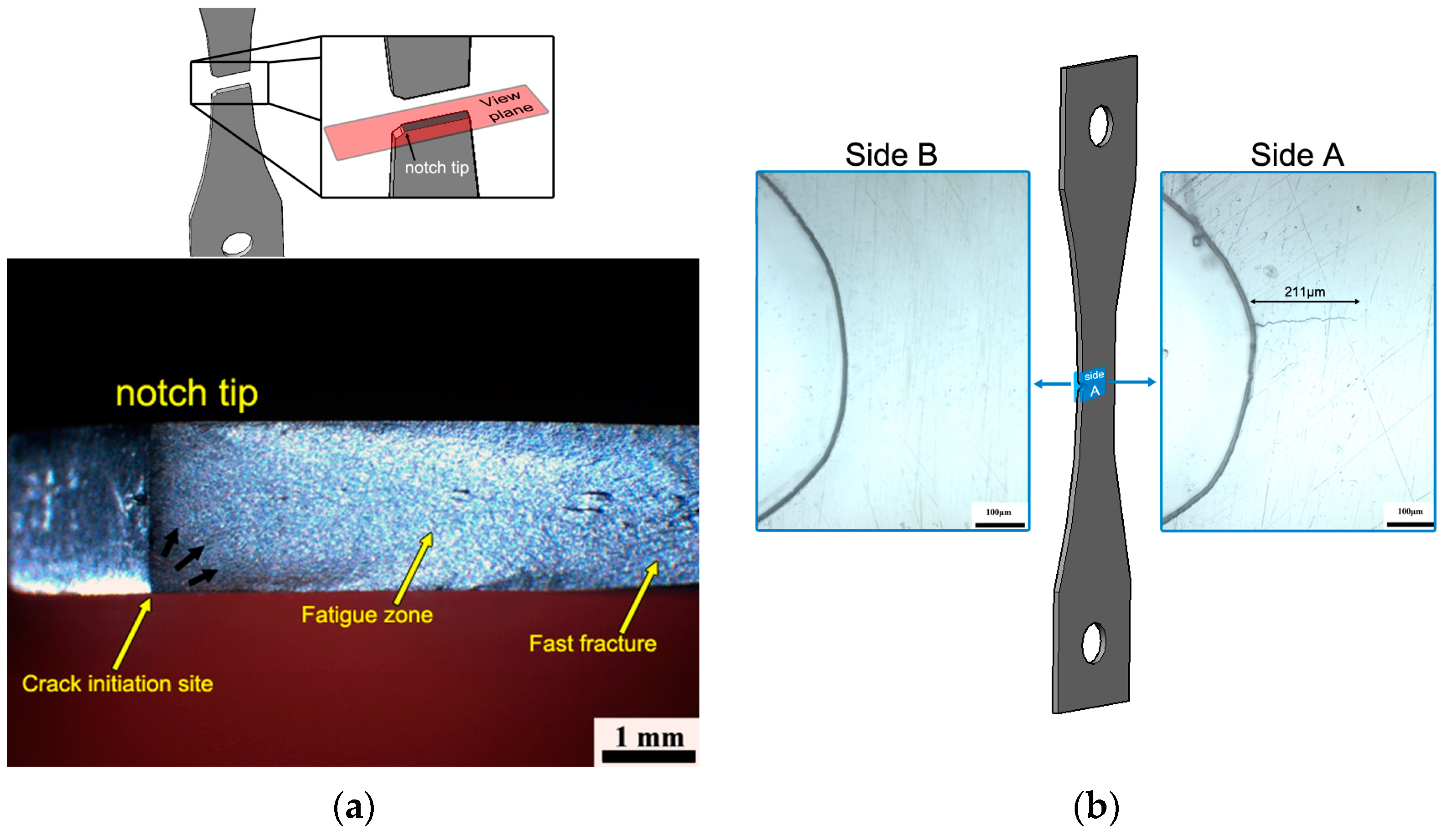 Metals 13 01652 g009 Metals 13 01652 g009