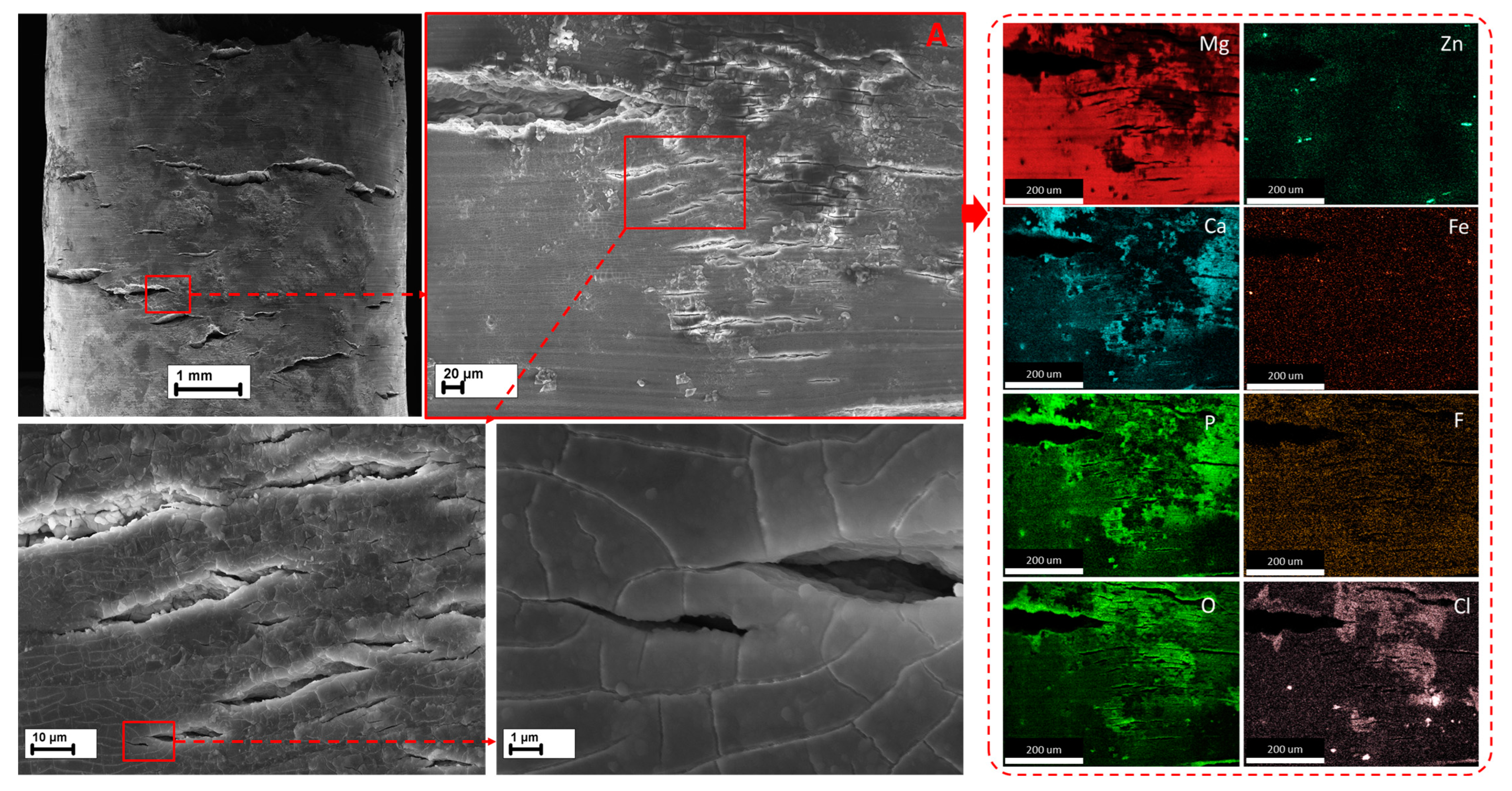 Metals 13 01660 g010